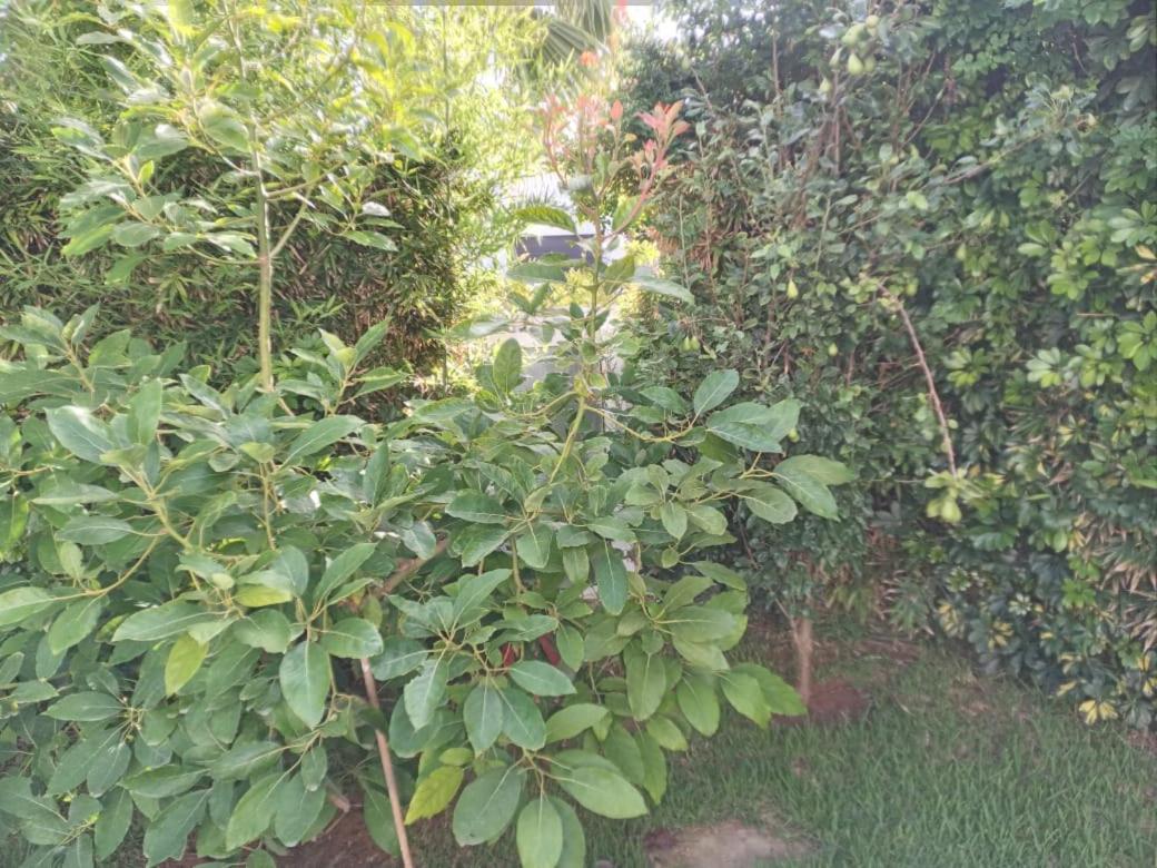 Photo 46