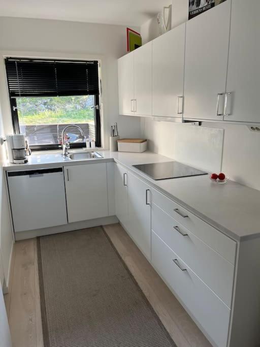 Moderne leilighet fra 2019