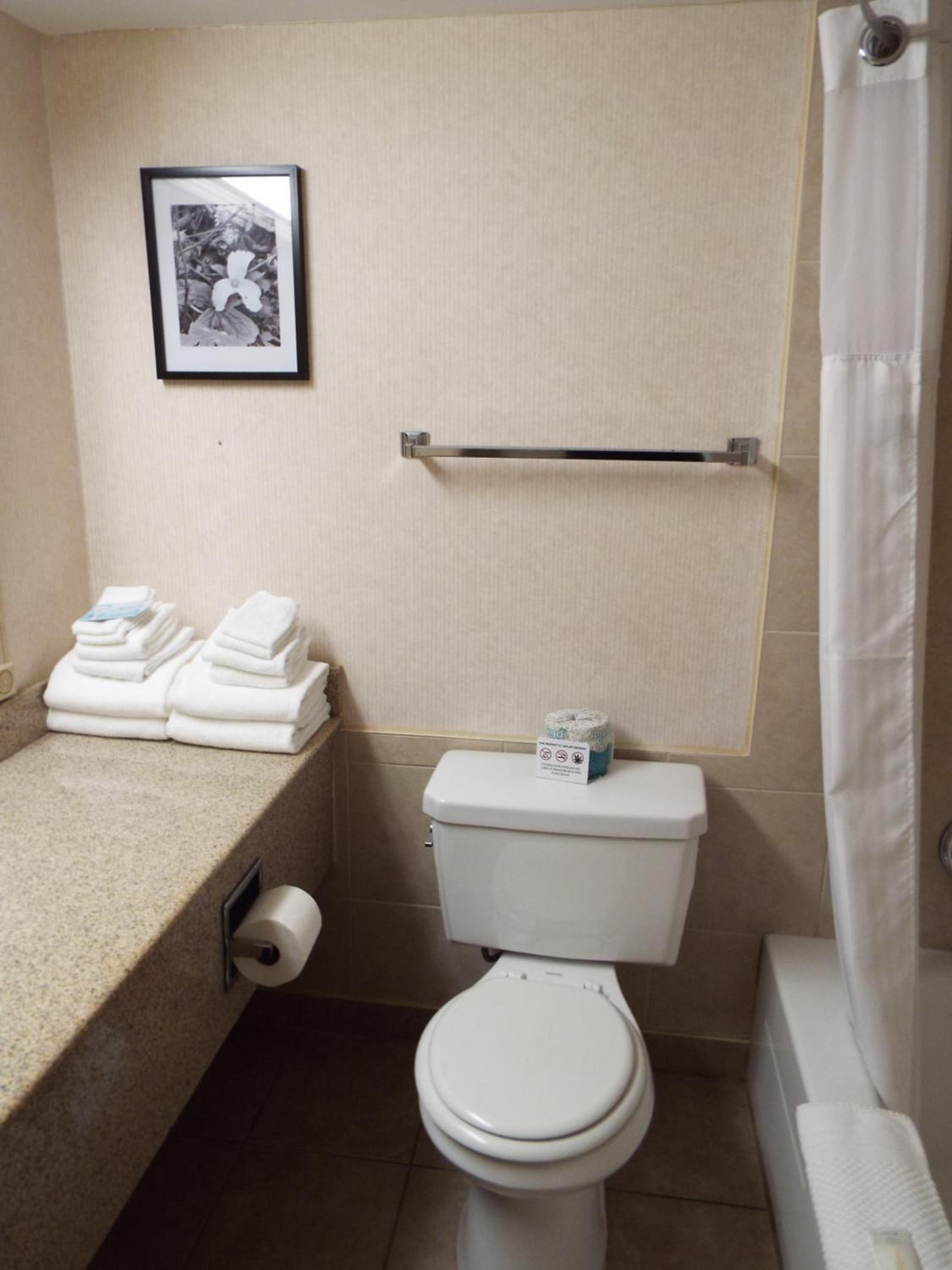 Spark By Hilton Owen Sound, Billede 28