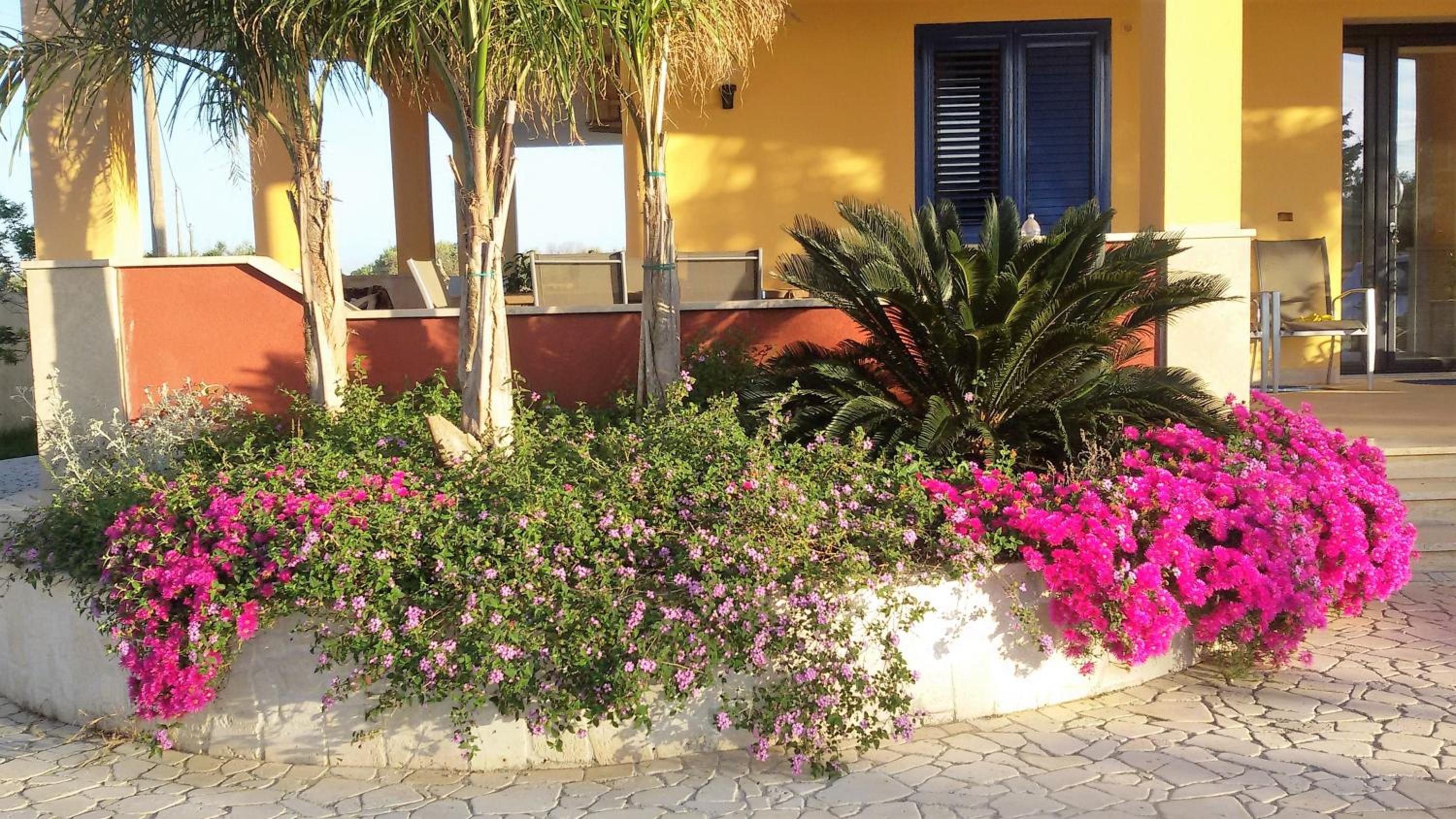 Bright Studio in Gallipoli - 30 sqm + Enclosed Garden view 3