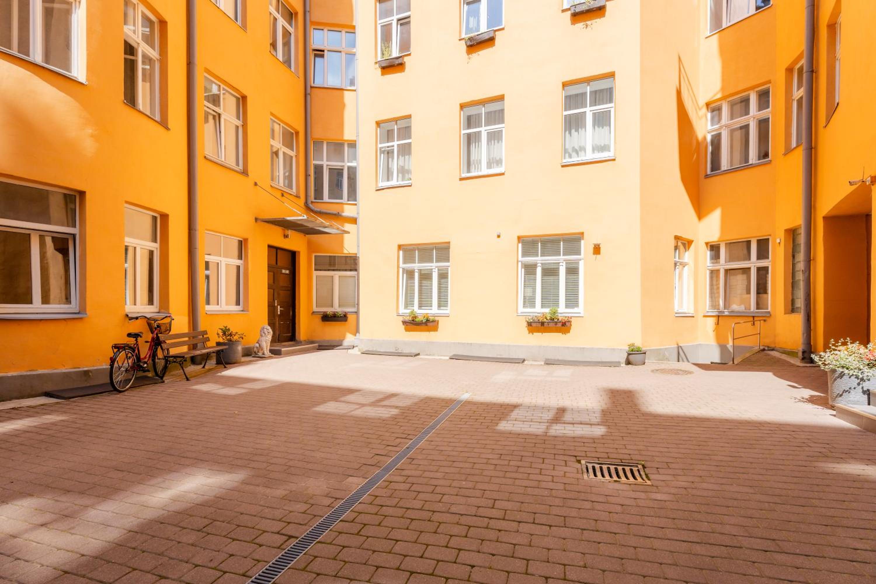 Photo 51