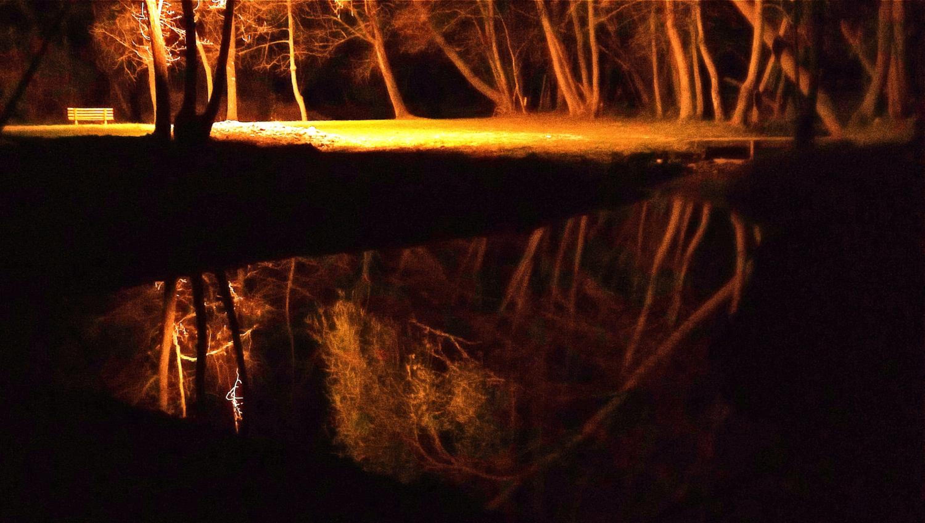 La Regina del Bosco