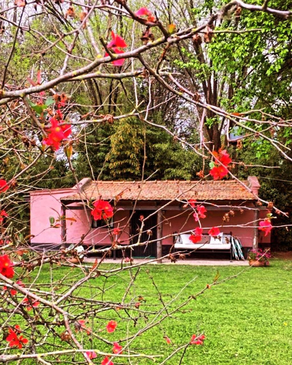 Ranchito Macondo