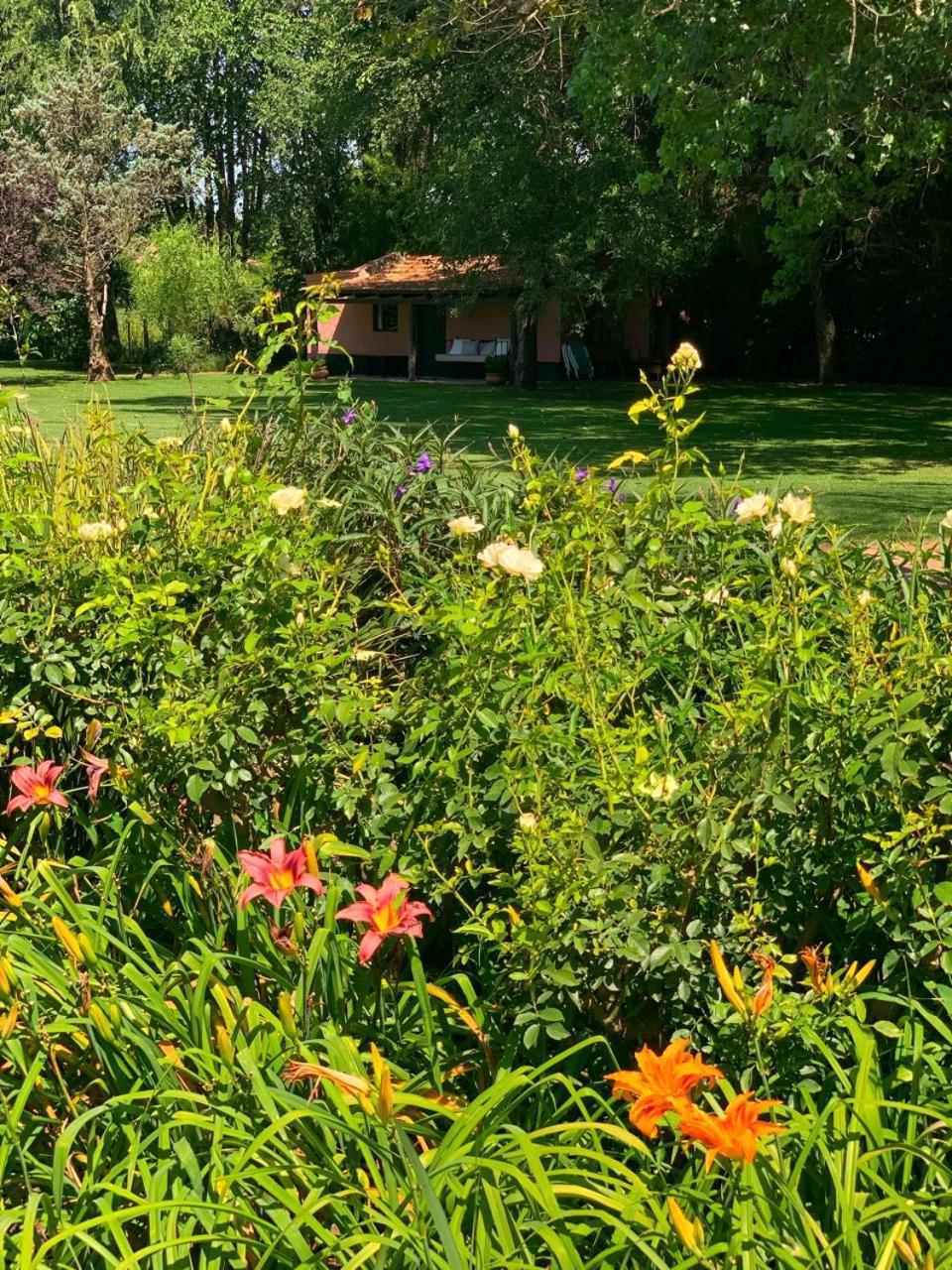 Ranchito Macondo