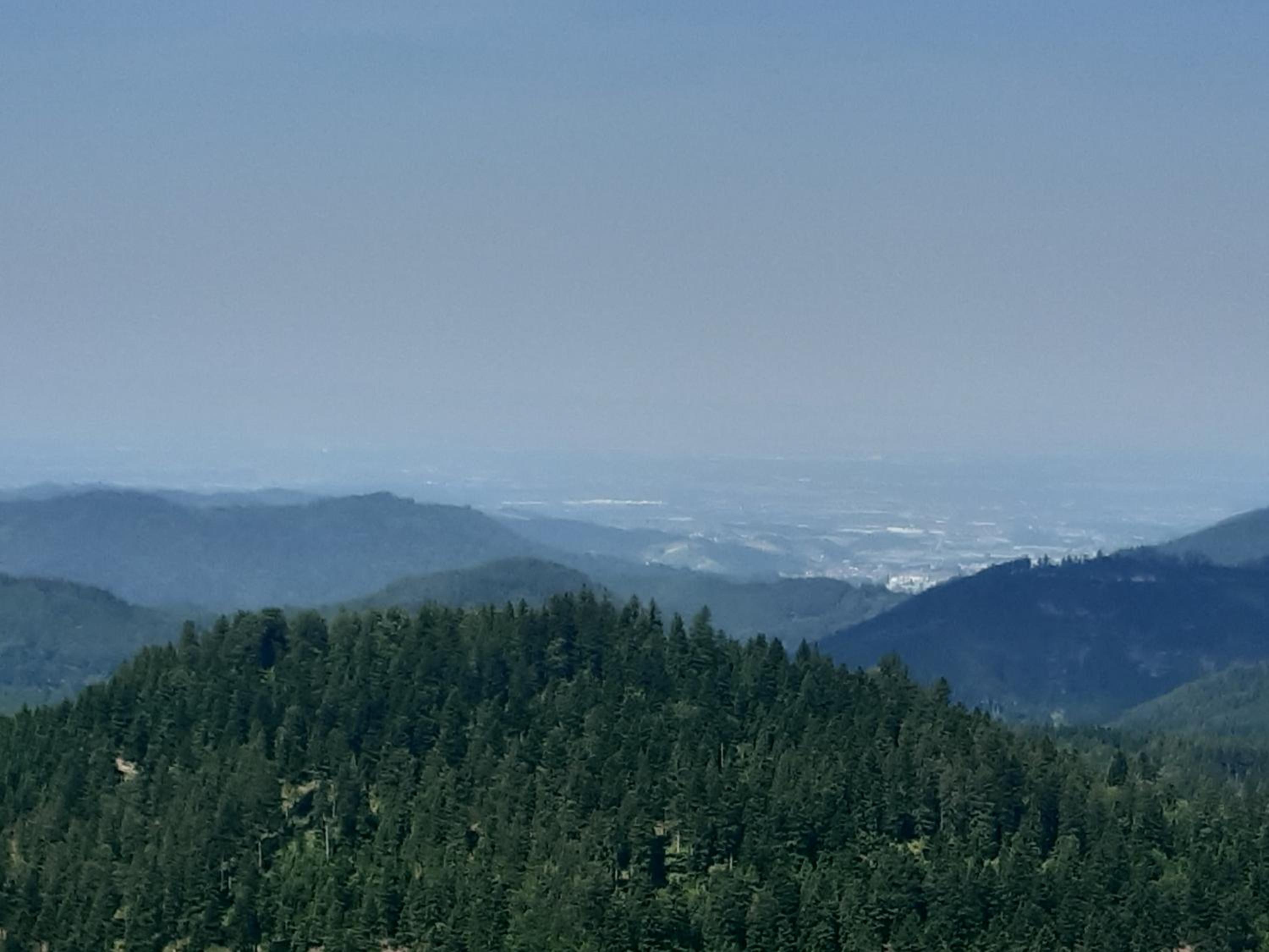 FeWo Schwarzwald von oben - Kniebis