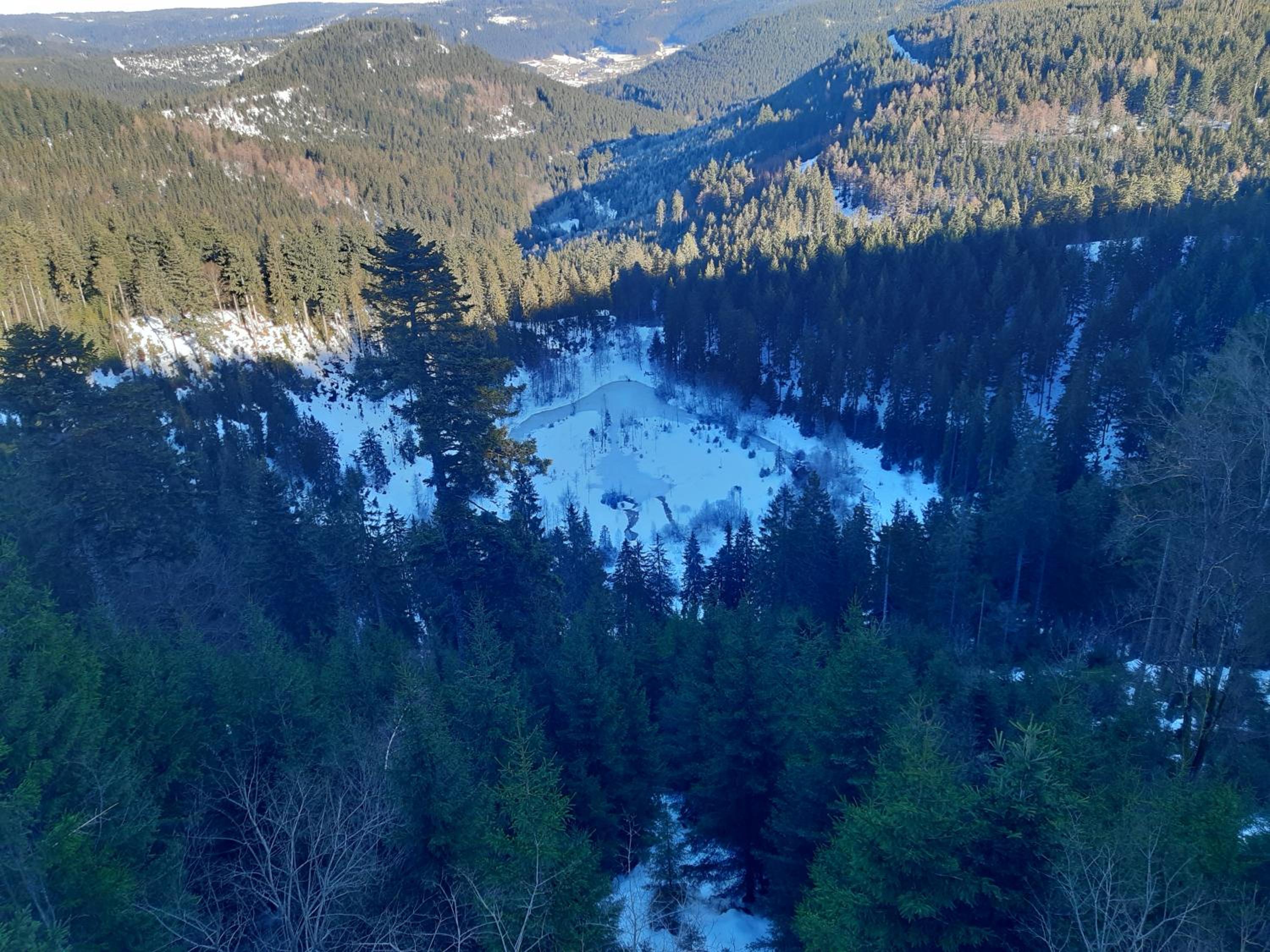 FeWo Schwarzwald von oben - Kniebis