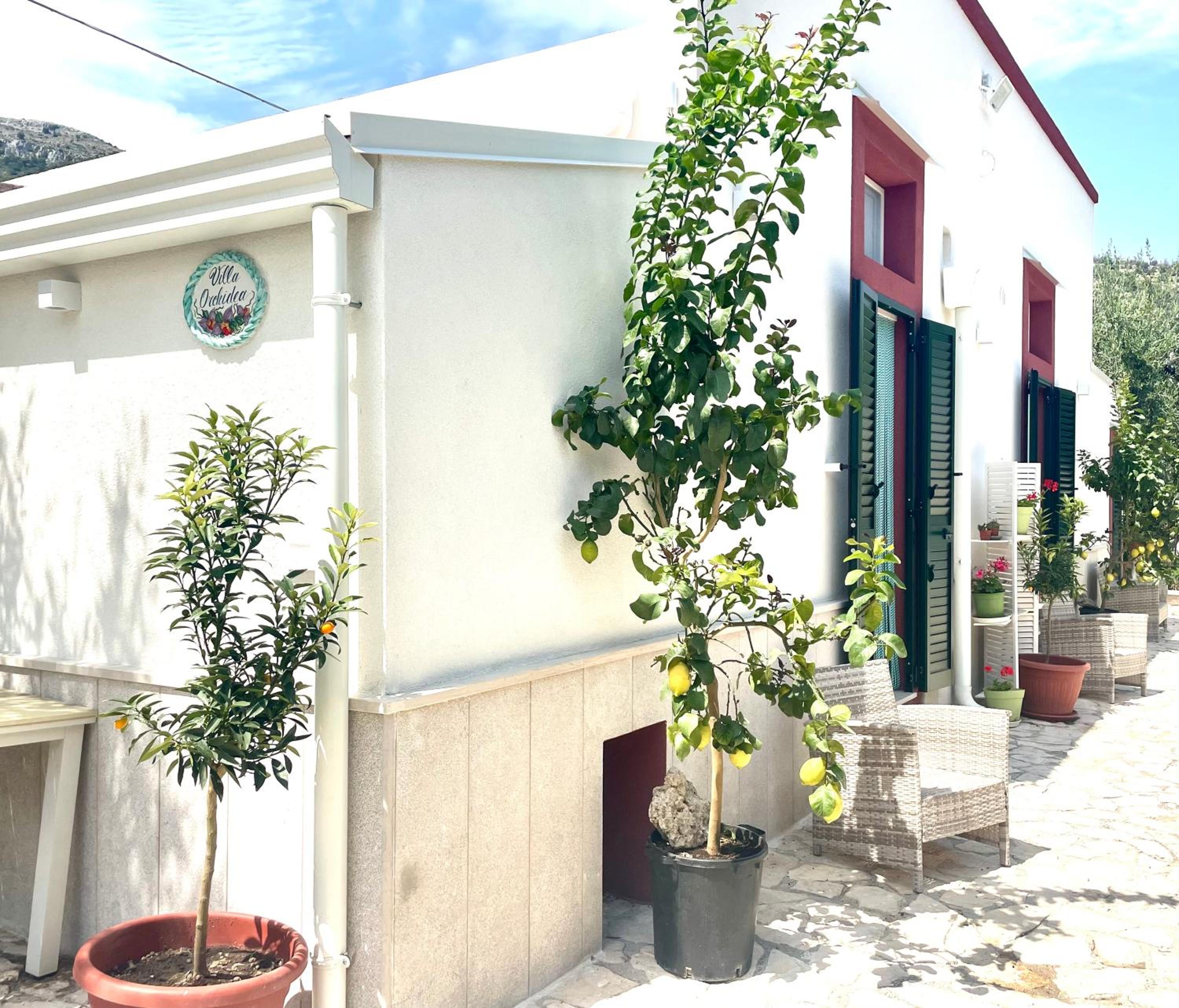 B&B Case Vacanza Orchidea marina di Macchia a Mattinata Gargano view 5