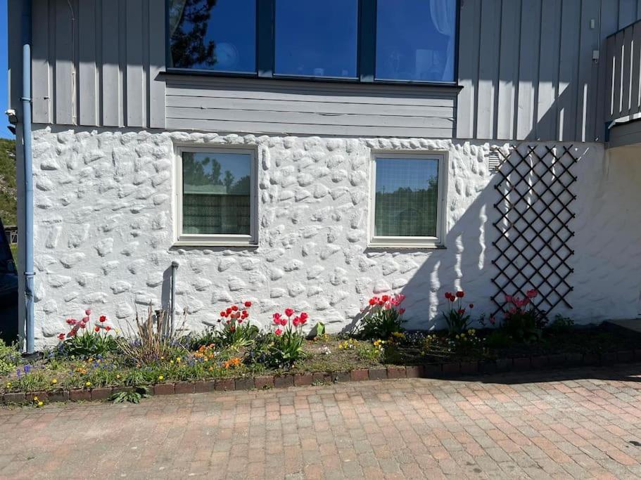 Leilighet i landlige omgivelser