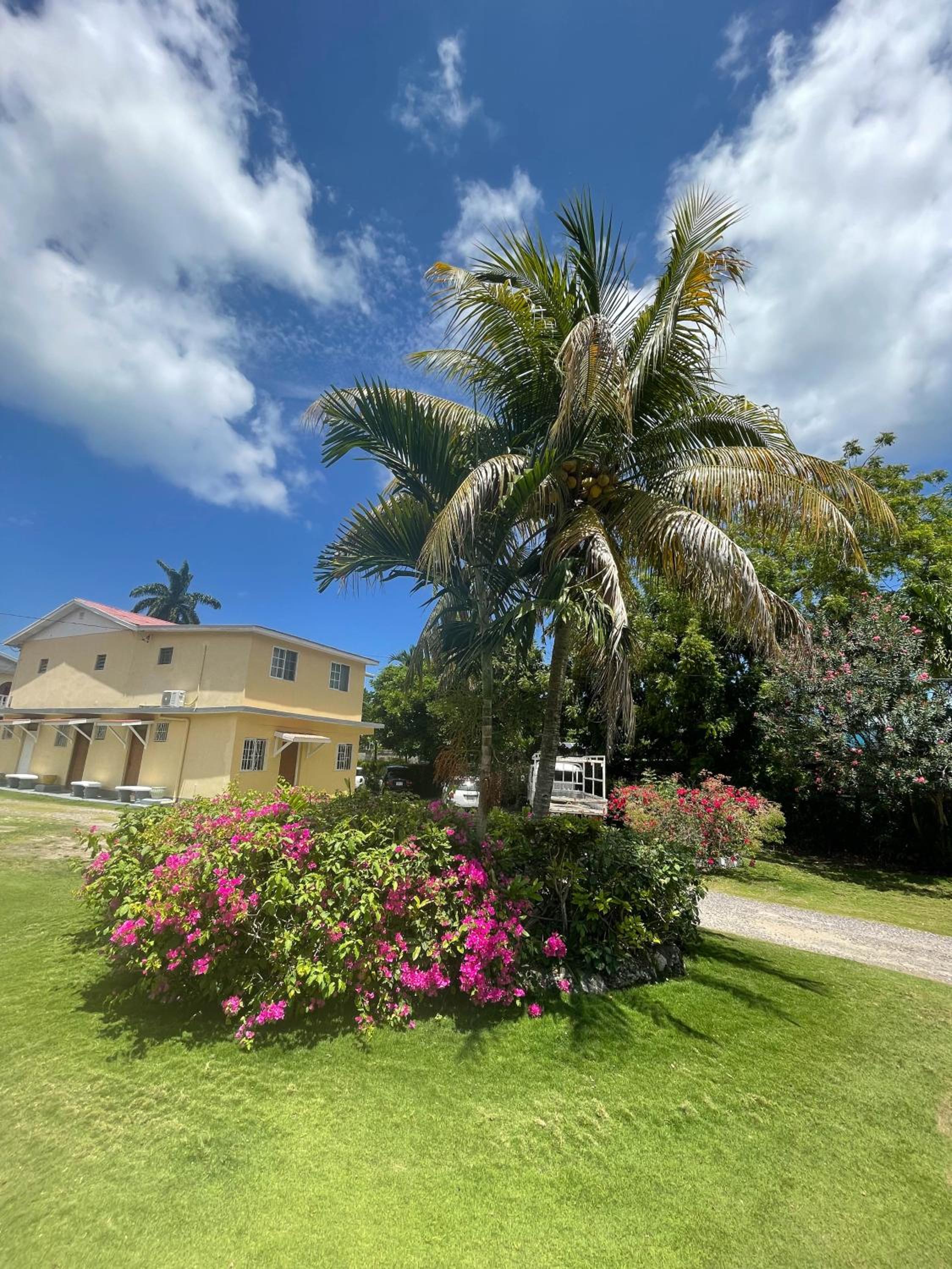 Little Shaw Park Guest House