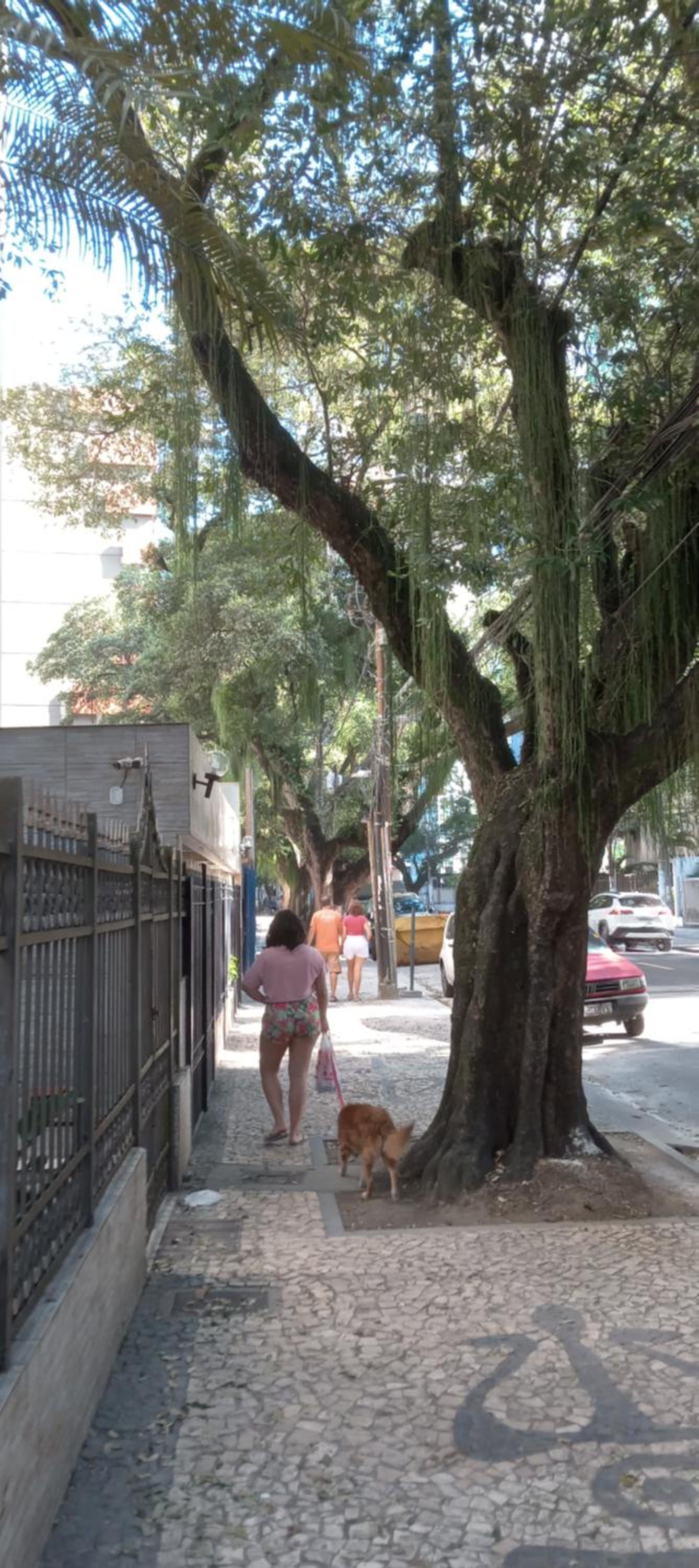 Luz de Regina Bahia