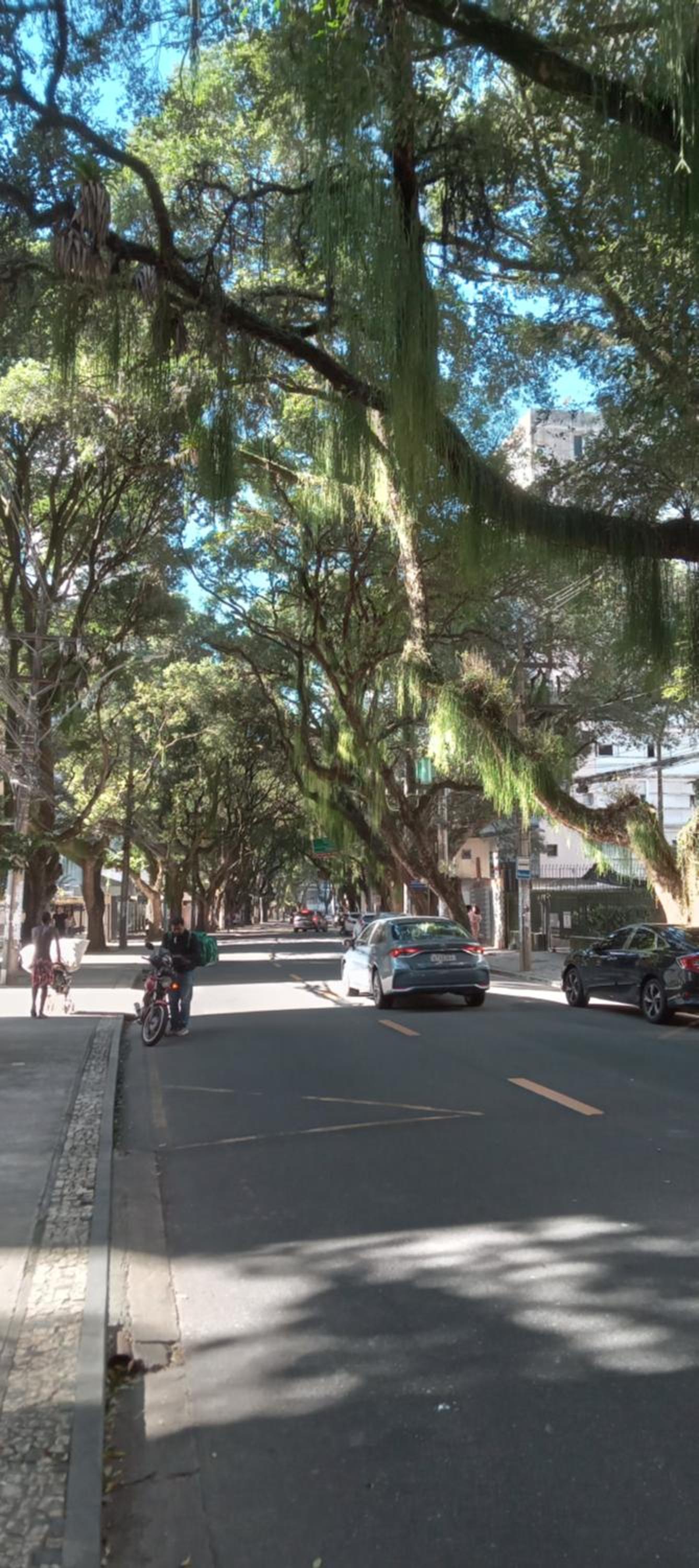 Luz de Regina Bahia