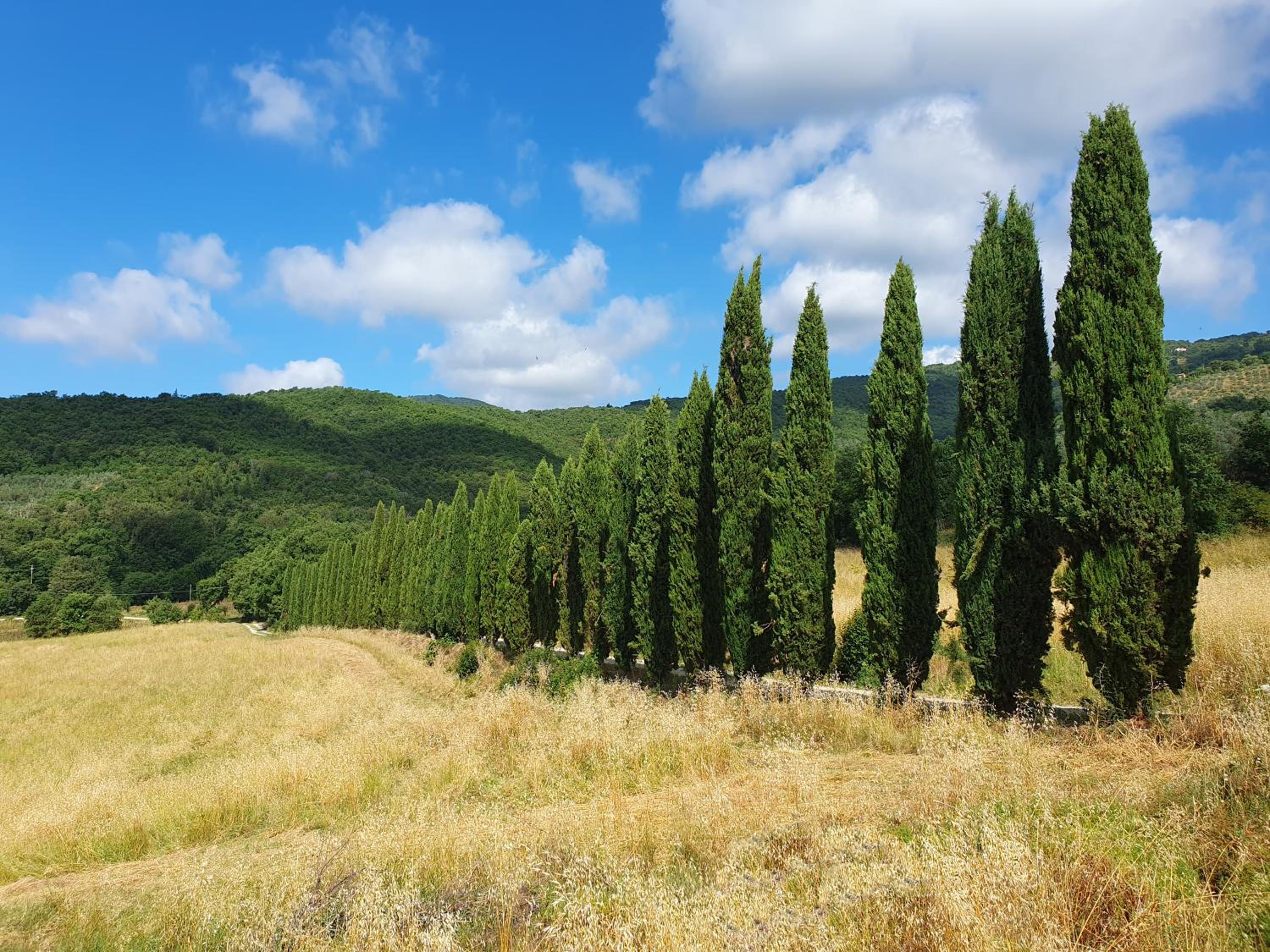 Residenza Conti