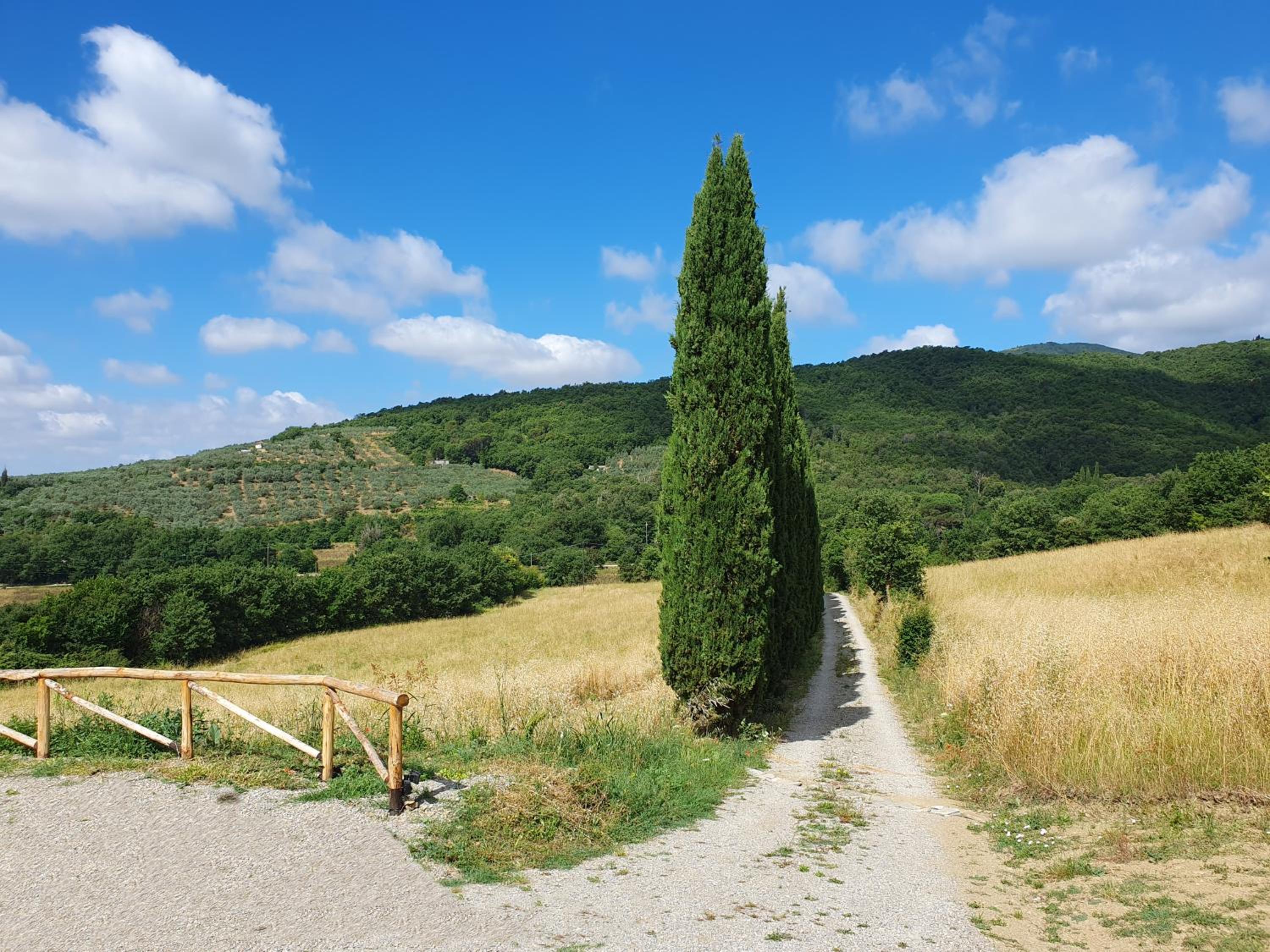 Residenza Conti