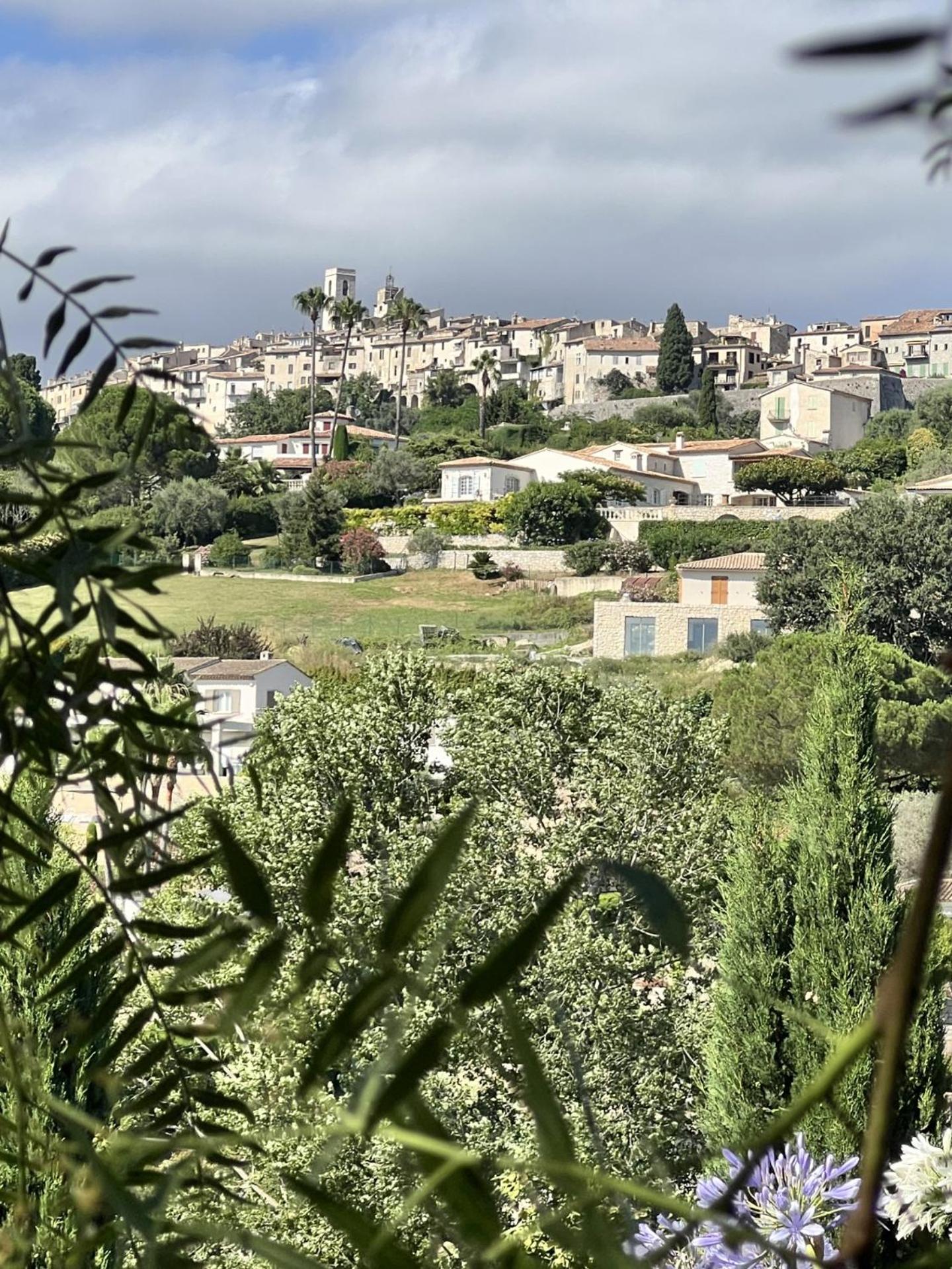 Le Mas des Amandiers, photo 46