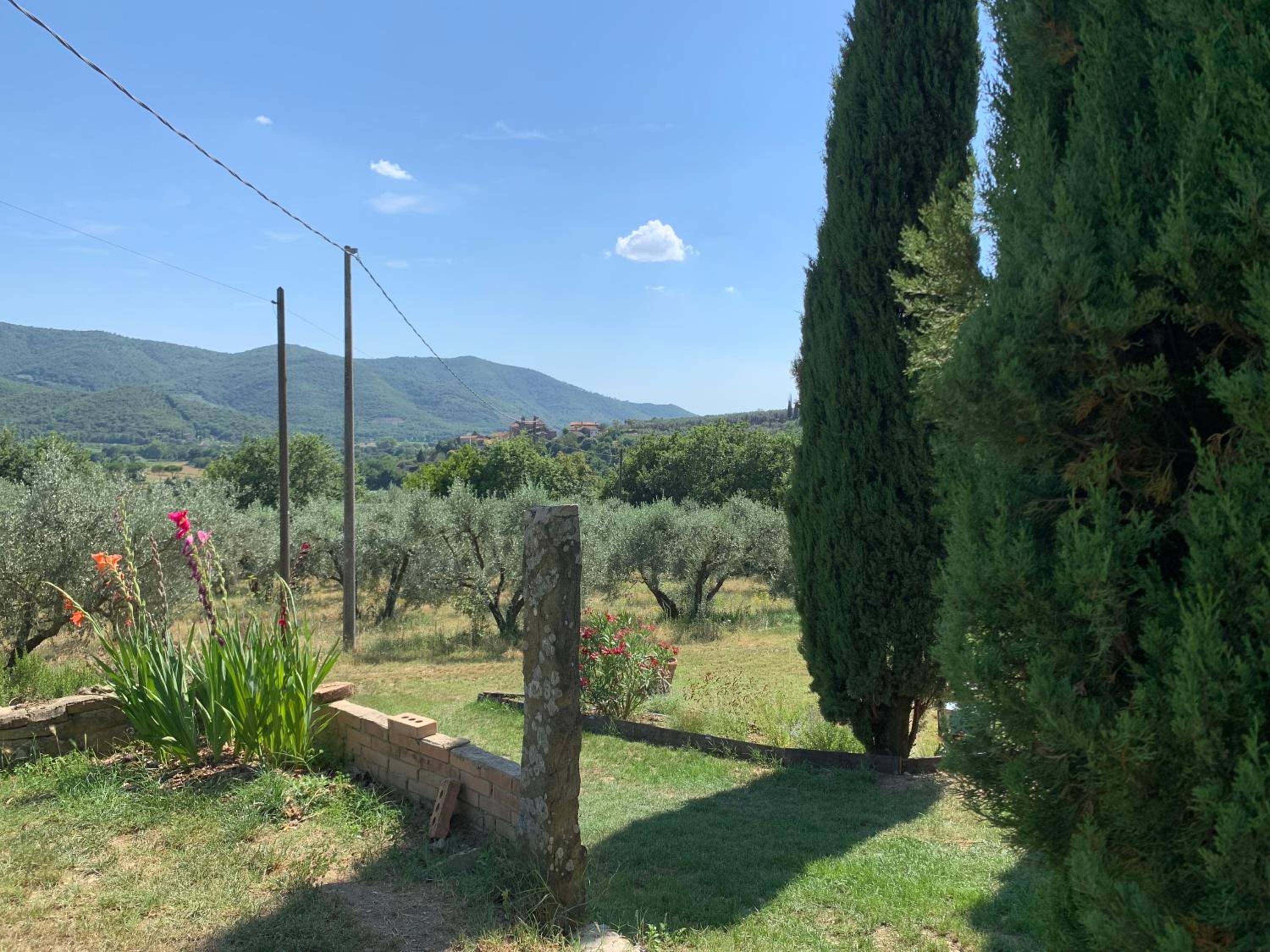 Residenza Conti
