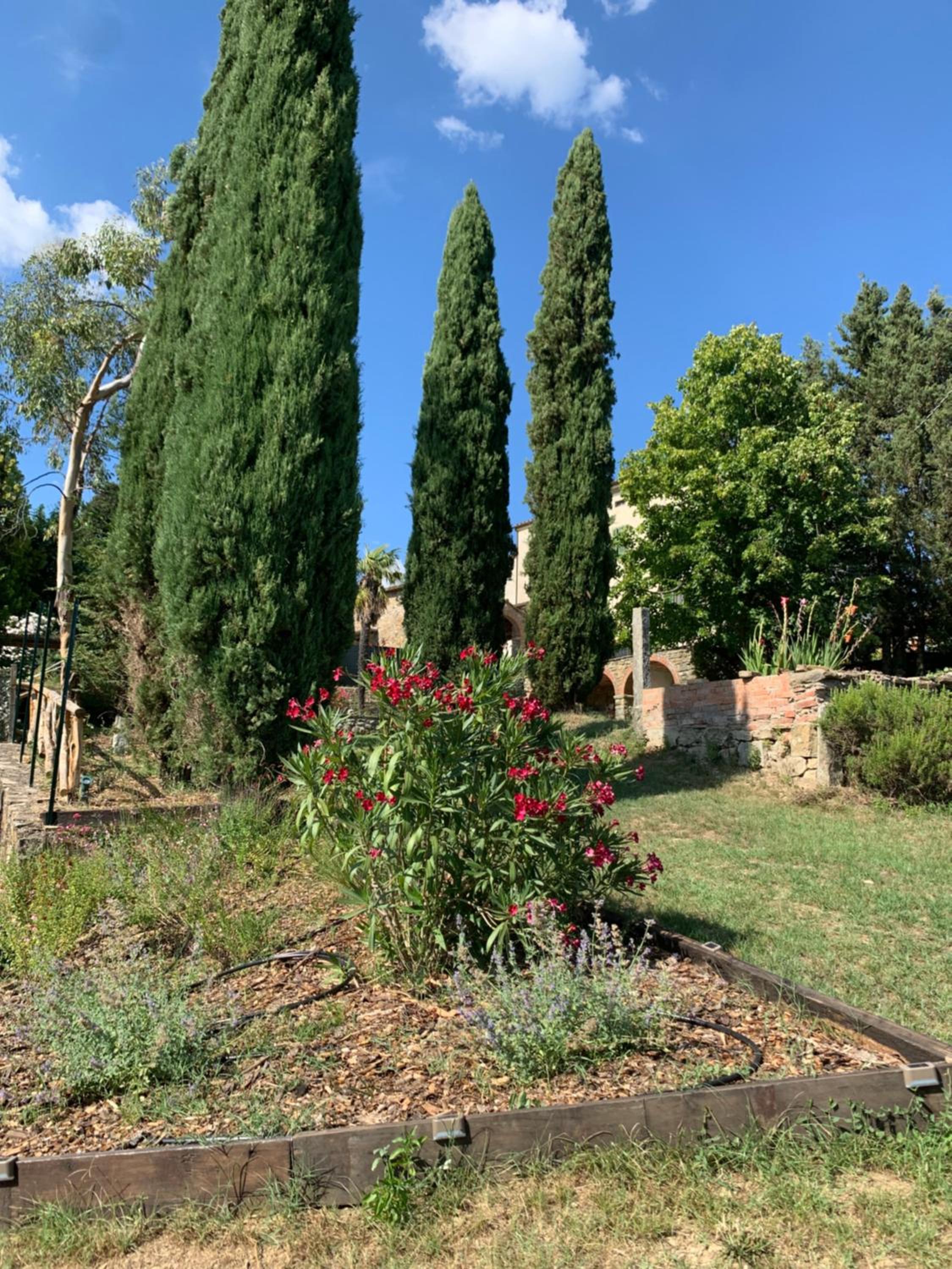 Residenza Conti