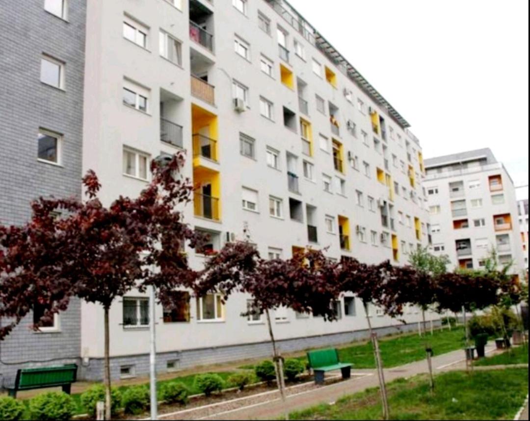 Purple apartment
