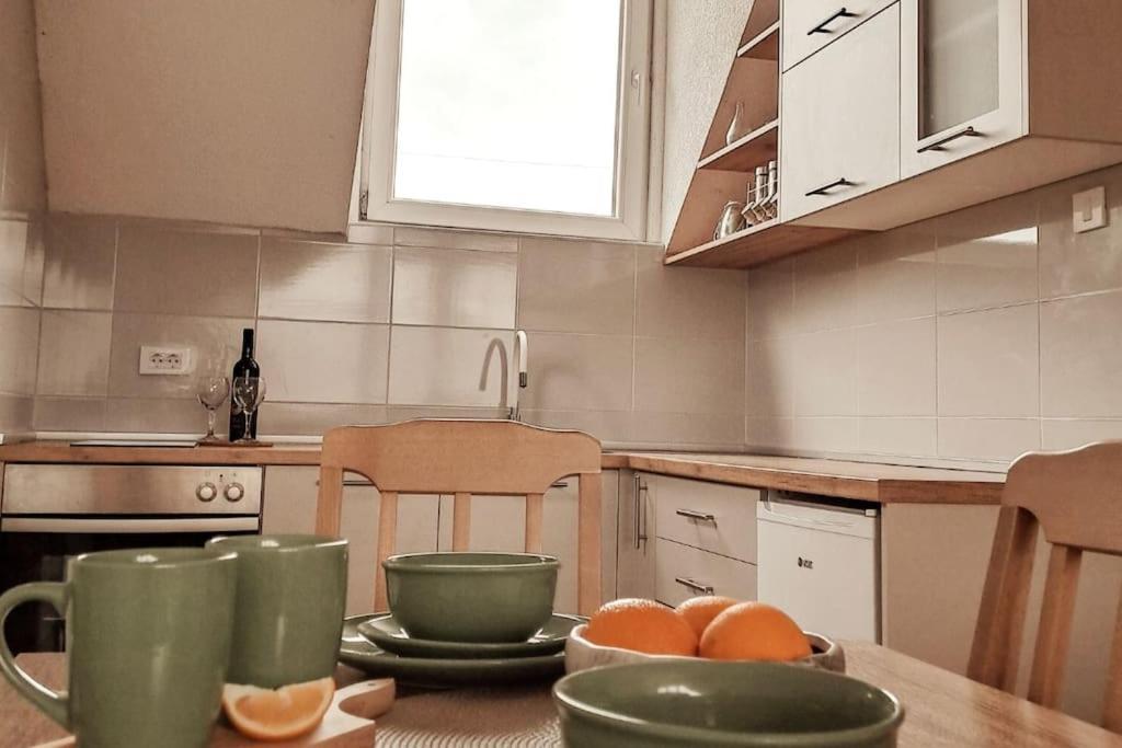 Apartman Hači view 4