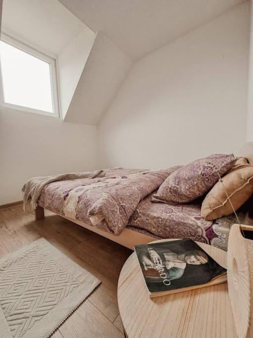 Apartman Hači view 2