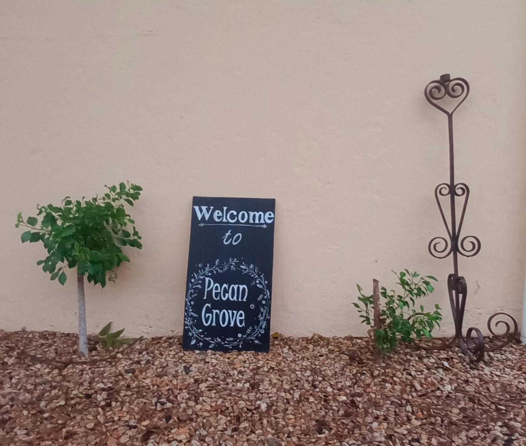 Pecan Grove view 2