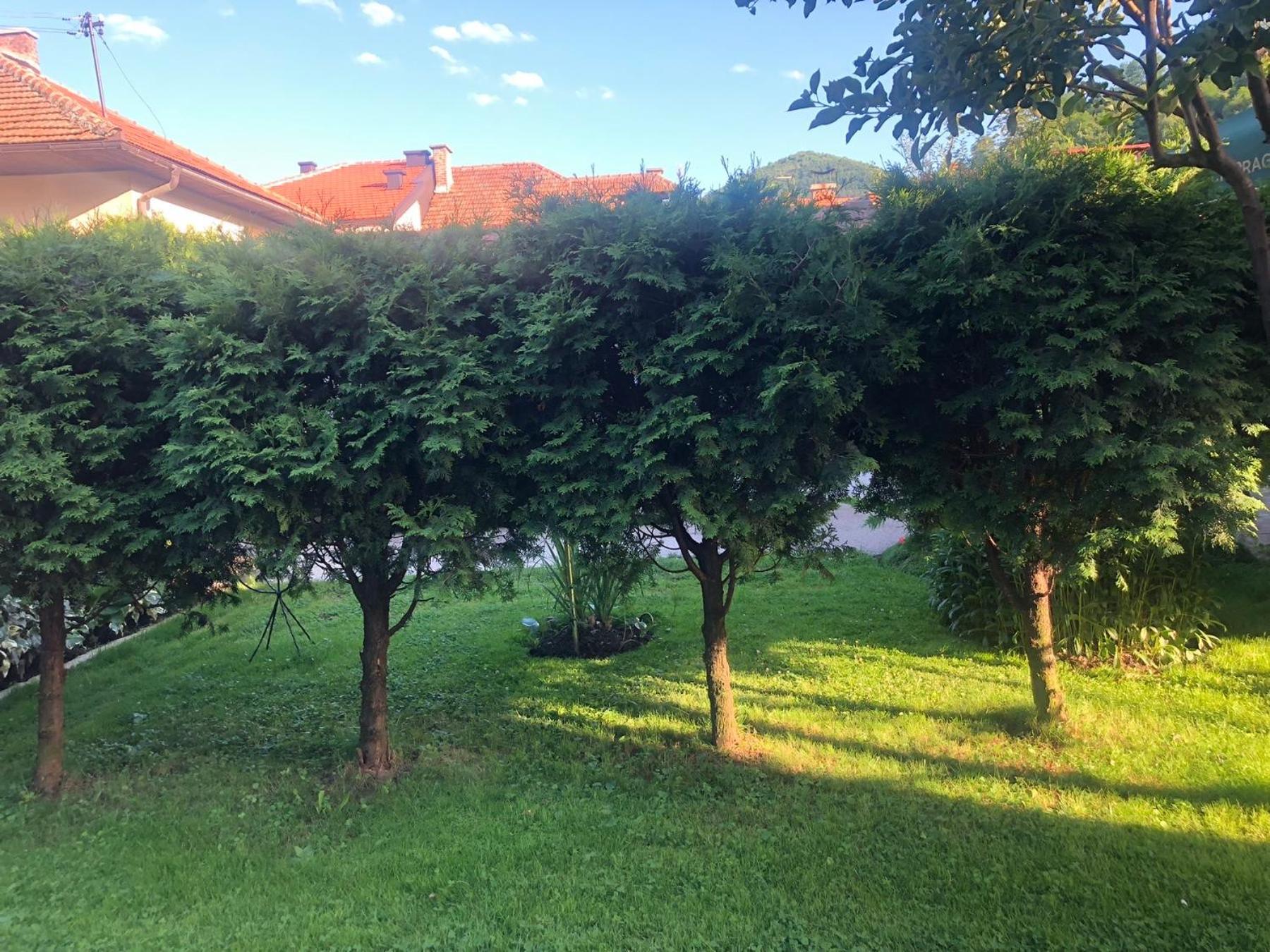 Apartman Balkan, photo 15
