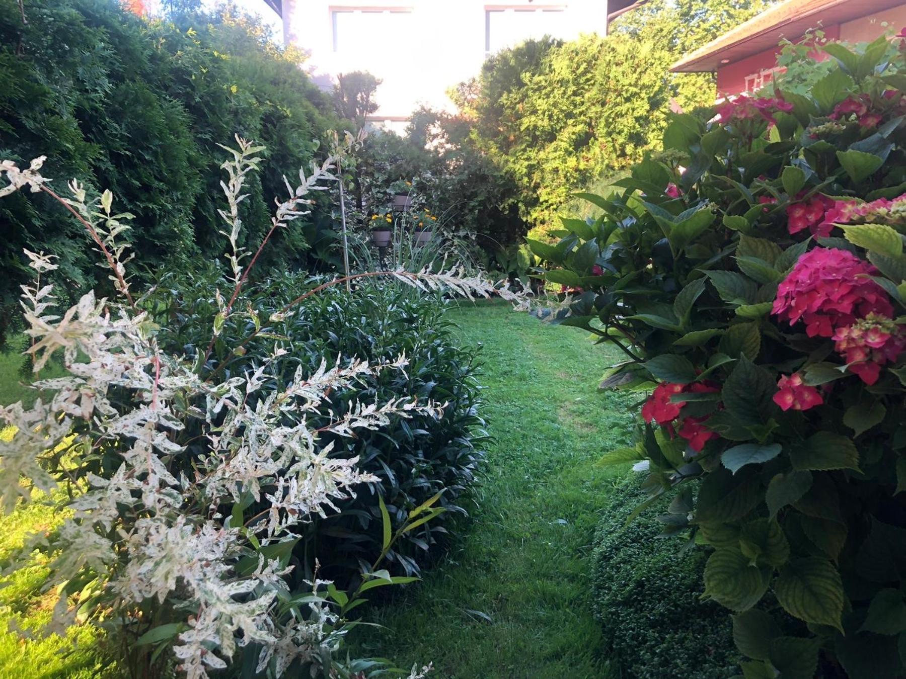 Apartman Balkan, photo 23