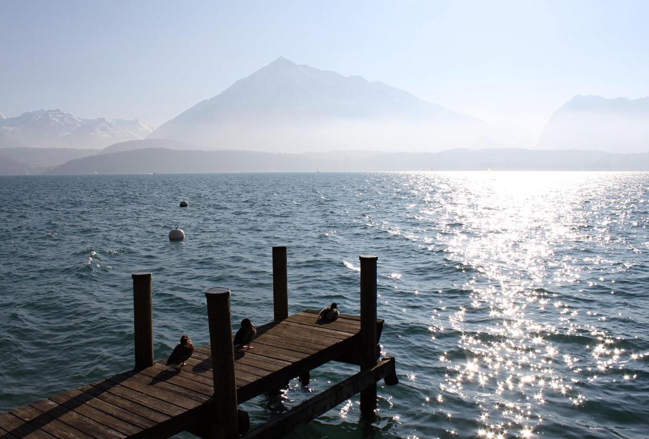 Swiss Apartment Thunersee