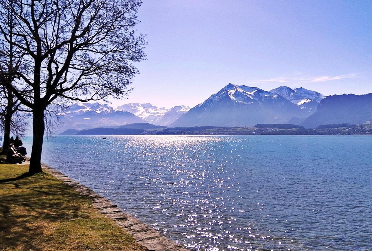 Swiss Apartment Thunersee