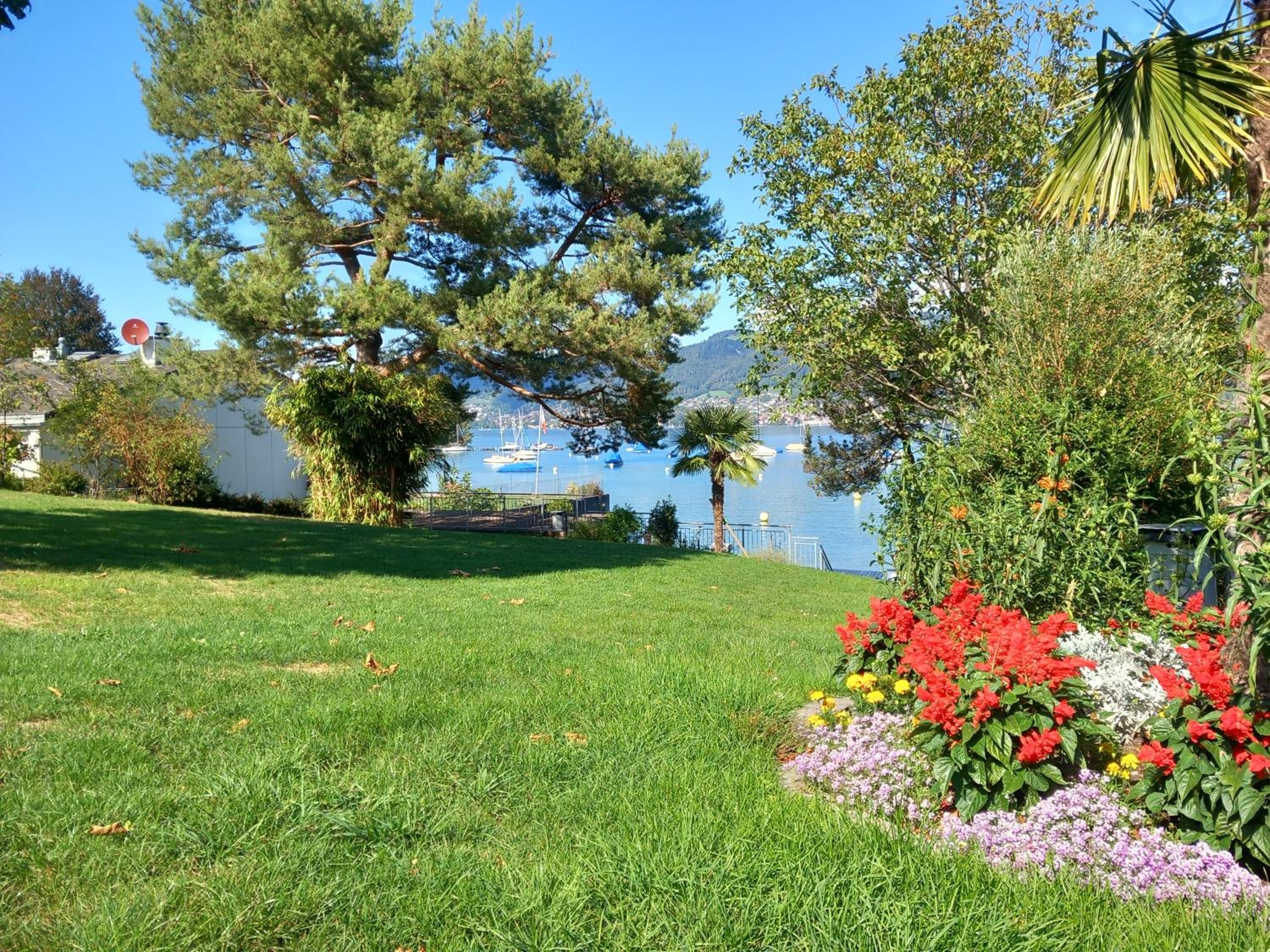Swiss Apartment Thunersee