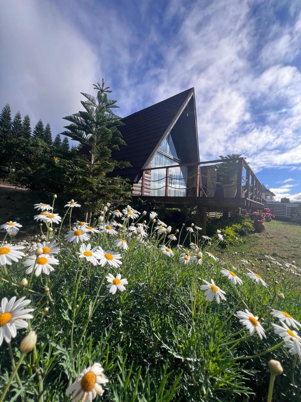 Cacha's Wood Cabins
