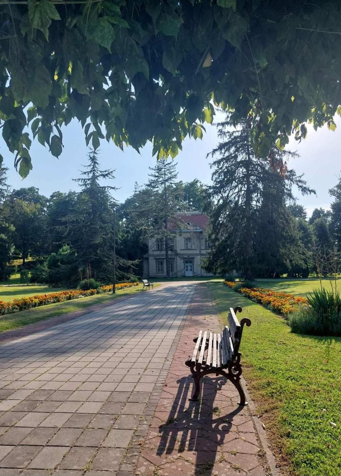 Apartman Sofija