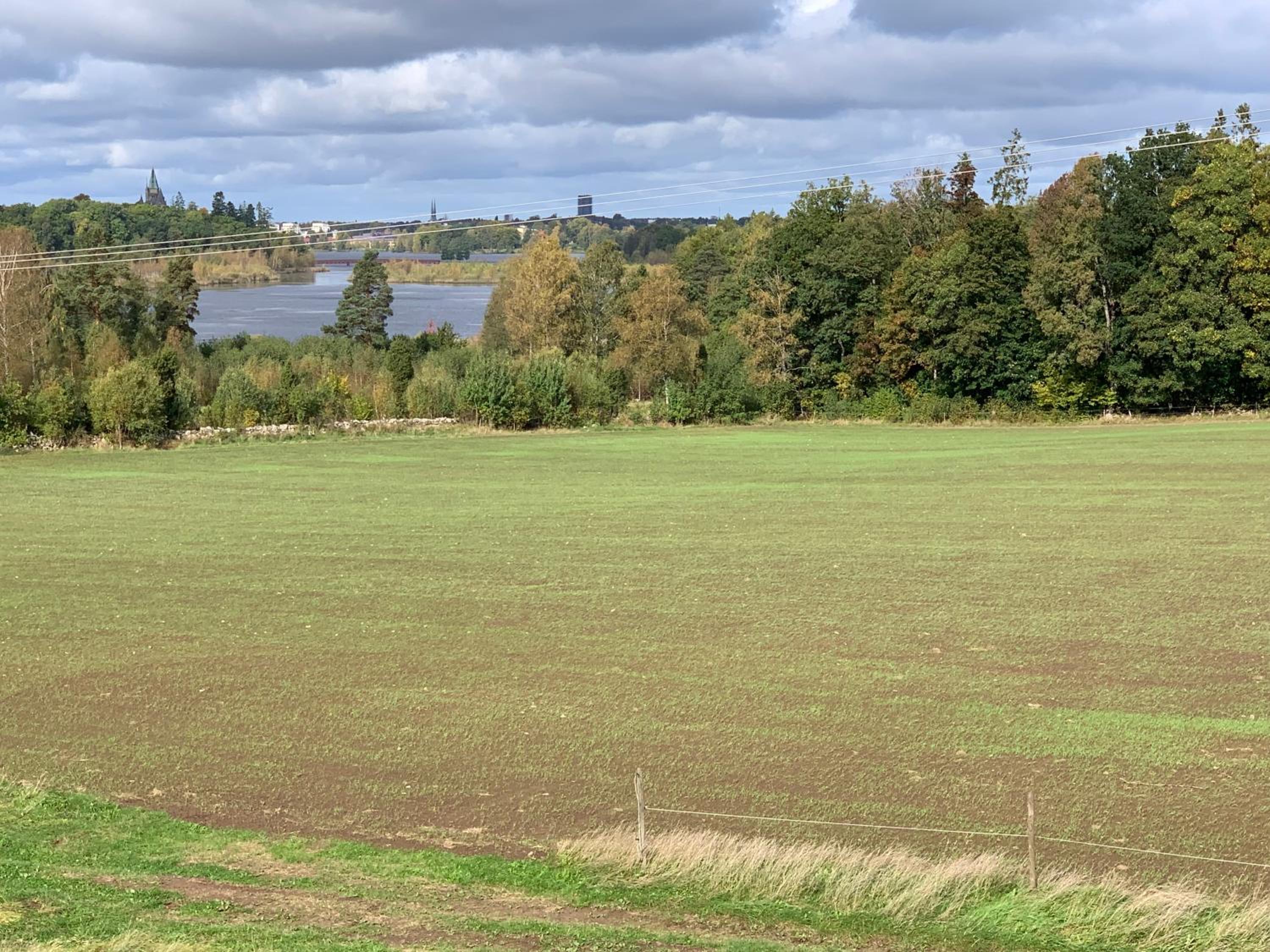 Skirsnäs gård
