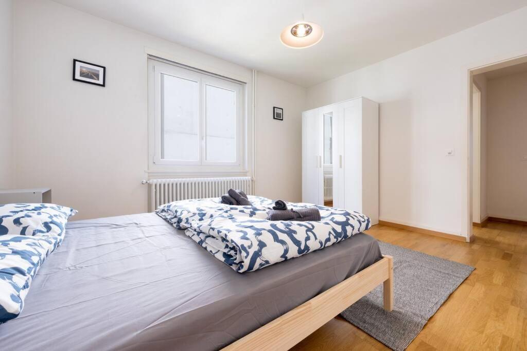 Comforting stay in Downtown Zurich with Skyline Views