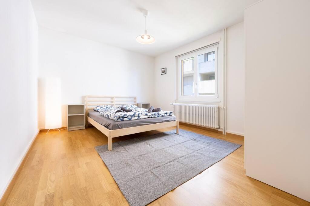 Comforting stay in Downtown Zurich with Skyline Views