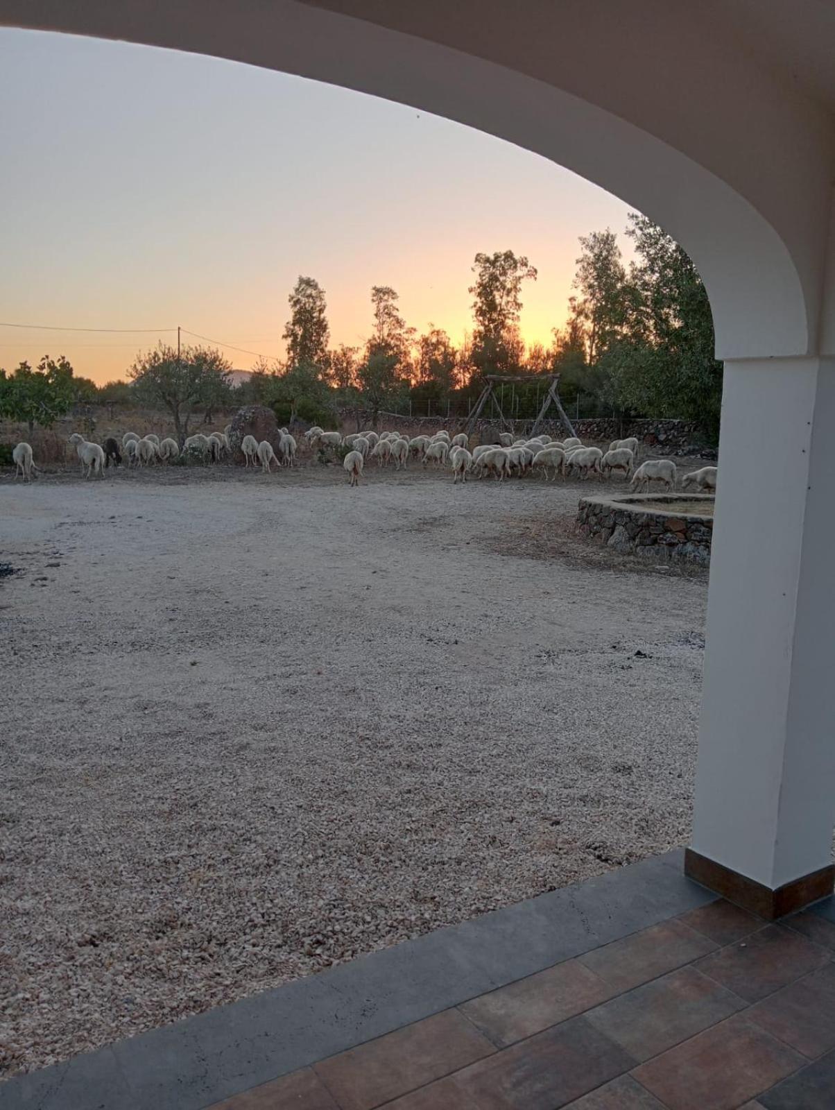 Agriturismo Sa Murta Dorgali