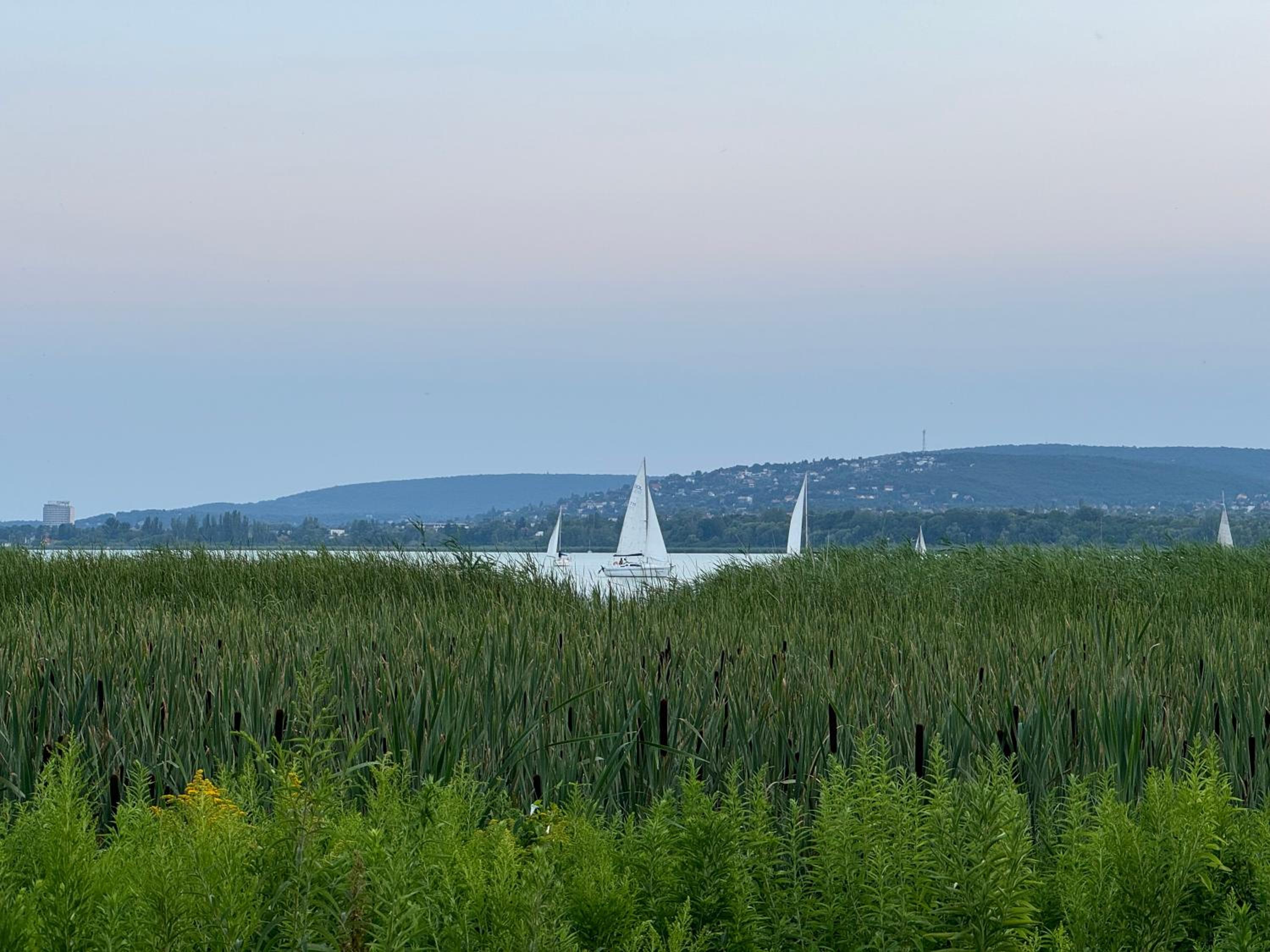 Willow Nest, photo 19