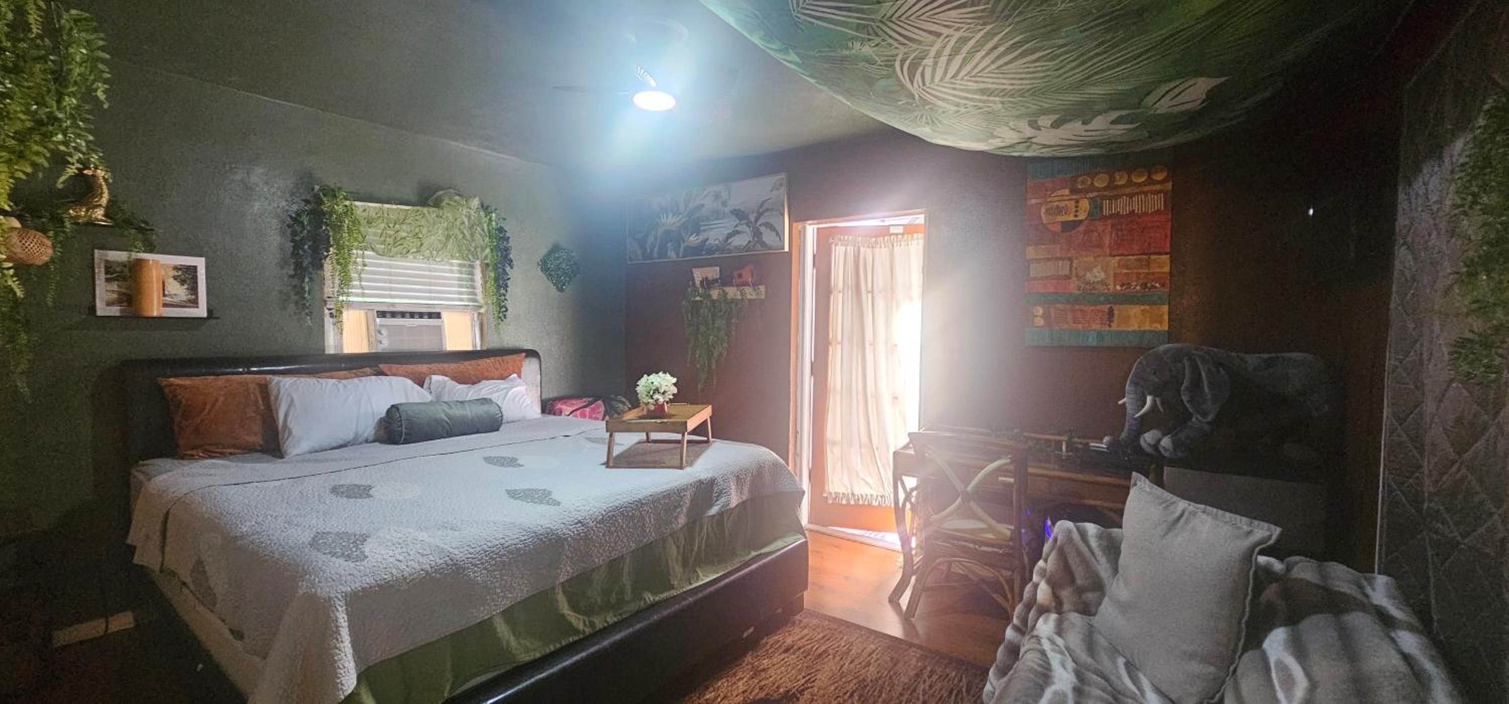 Tampa Vacations - Jungle Oasis By Busch Gardens USF and Amphitheater - Property Image 1