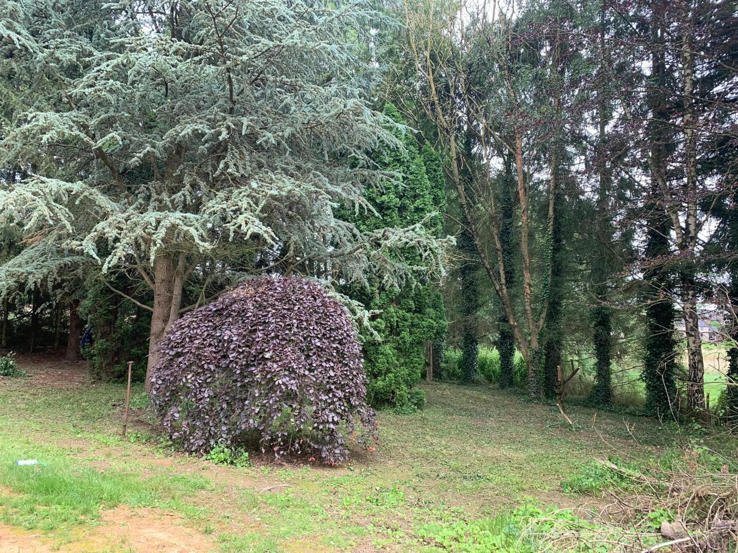Charming cosy house in Ohey, perfect for 2 people