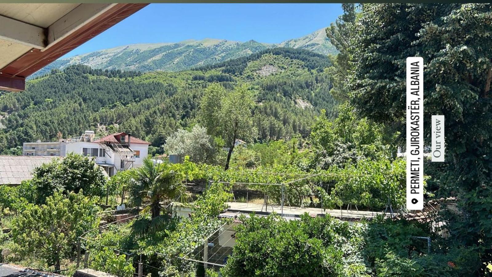 Sajmir Suites