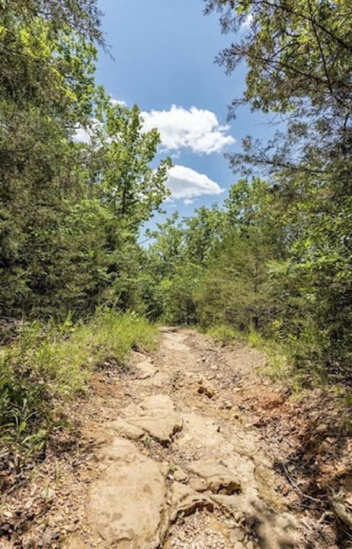 Beautiful Branson Getaway-Next to Silver Dollar City &Tablerock-Family Amenities view 2