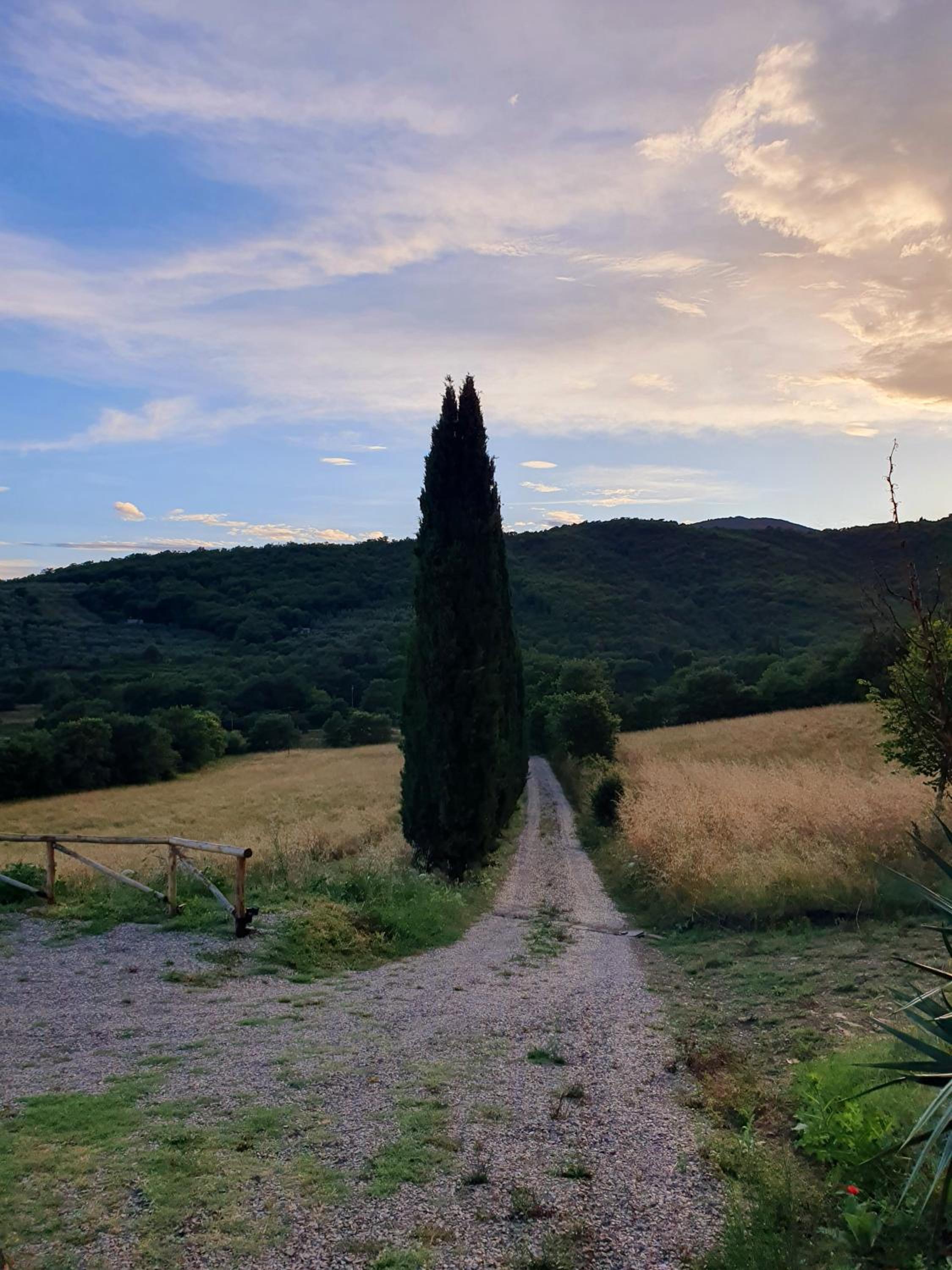 Residenza Conti