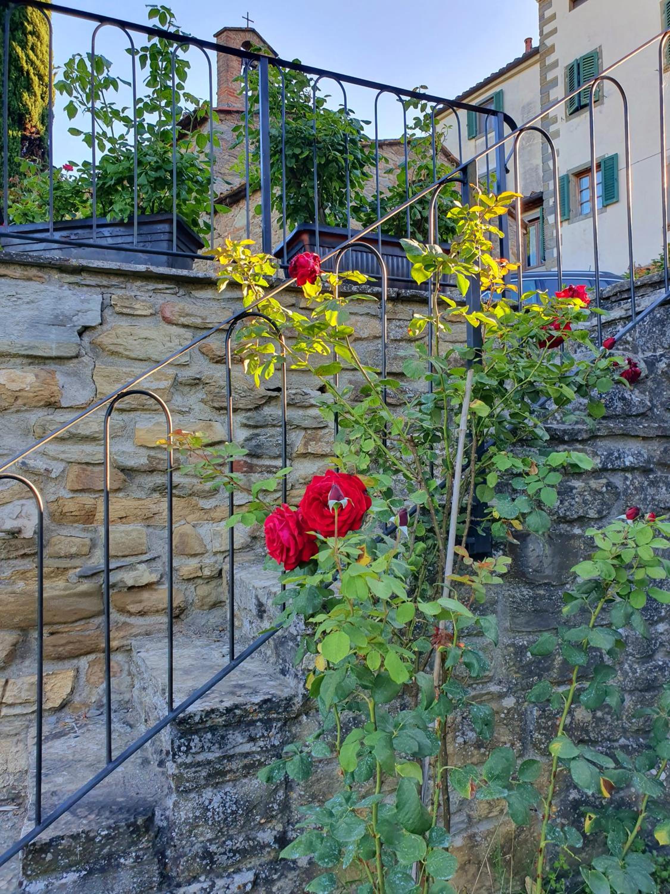 Residenza Conti