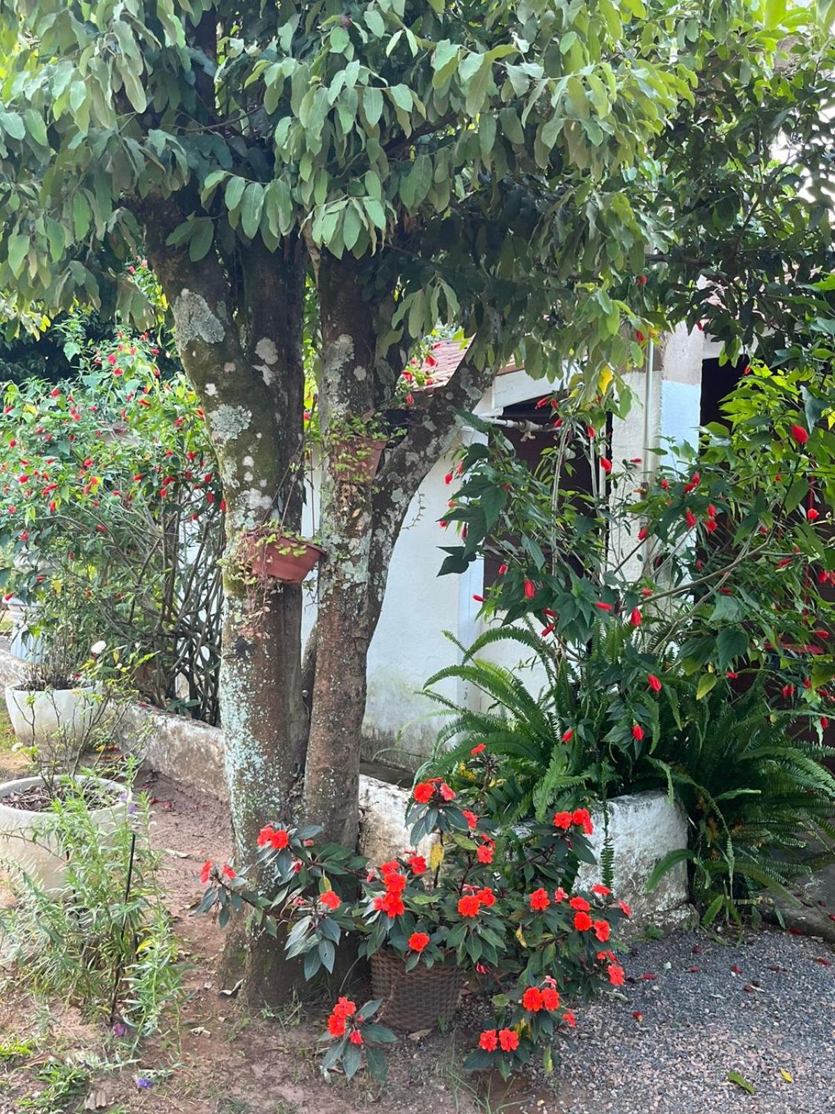 Pousada Jardim da Chapada