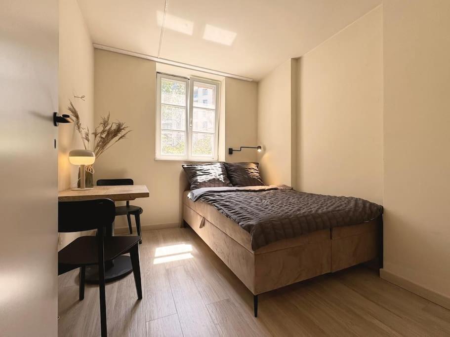 Natural apartment in the City Center - Old Town