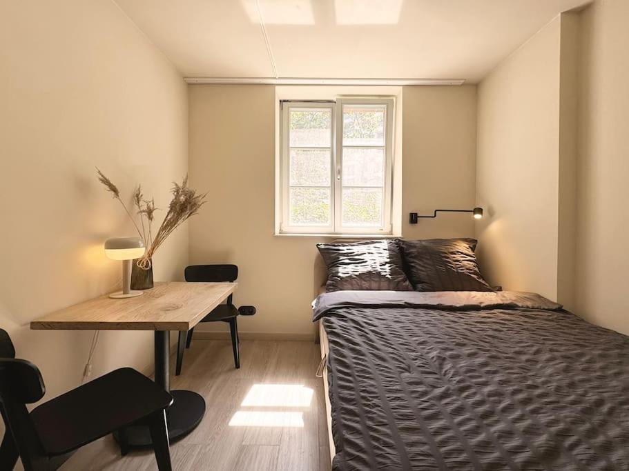 Natural apartment in the City Center - Old Town