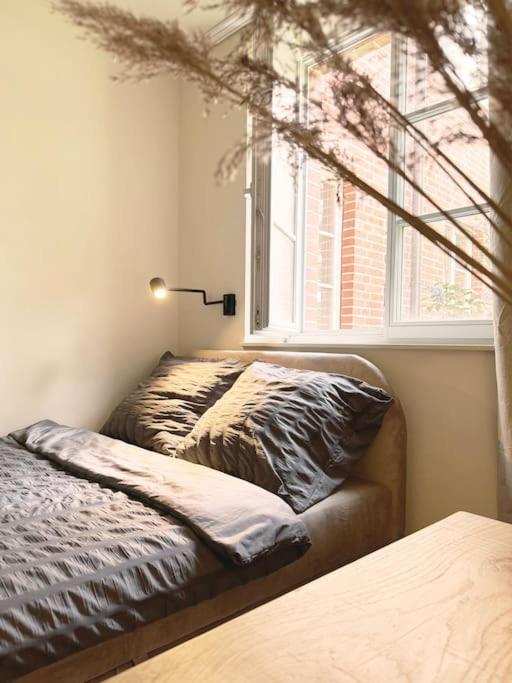 Natural apartment in the City Center - Old Town