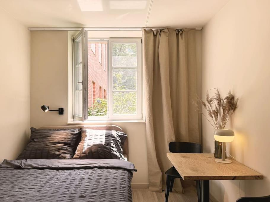 Natural apartment in the City Center - Old Town