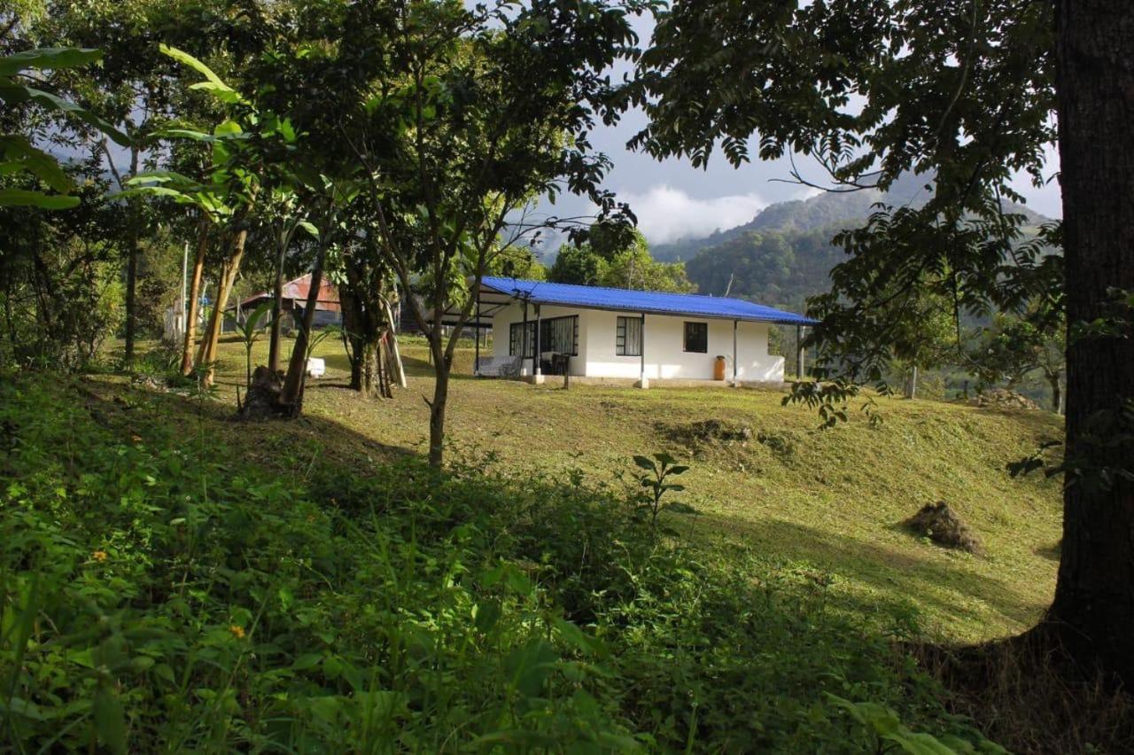 Villa DIANE