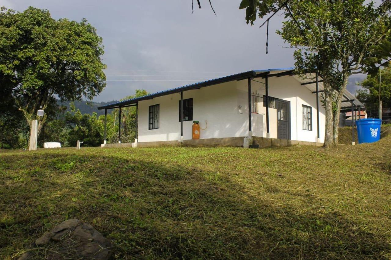 Villa DIANE