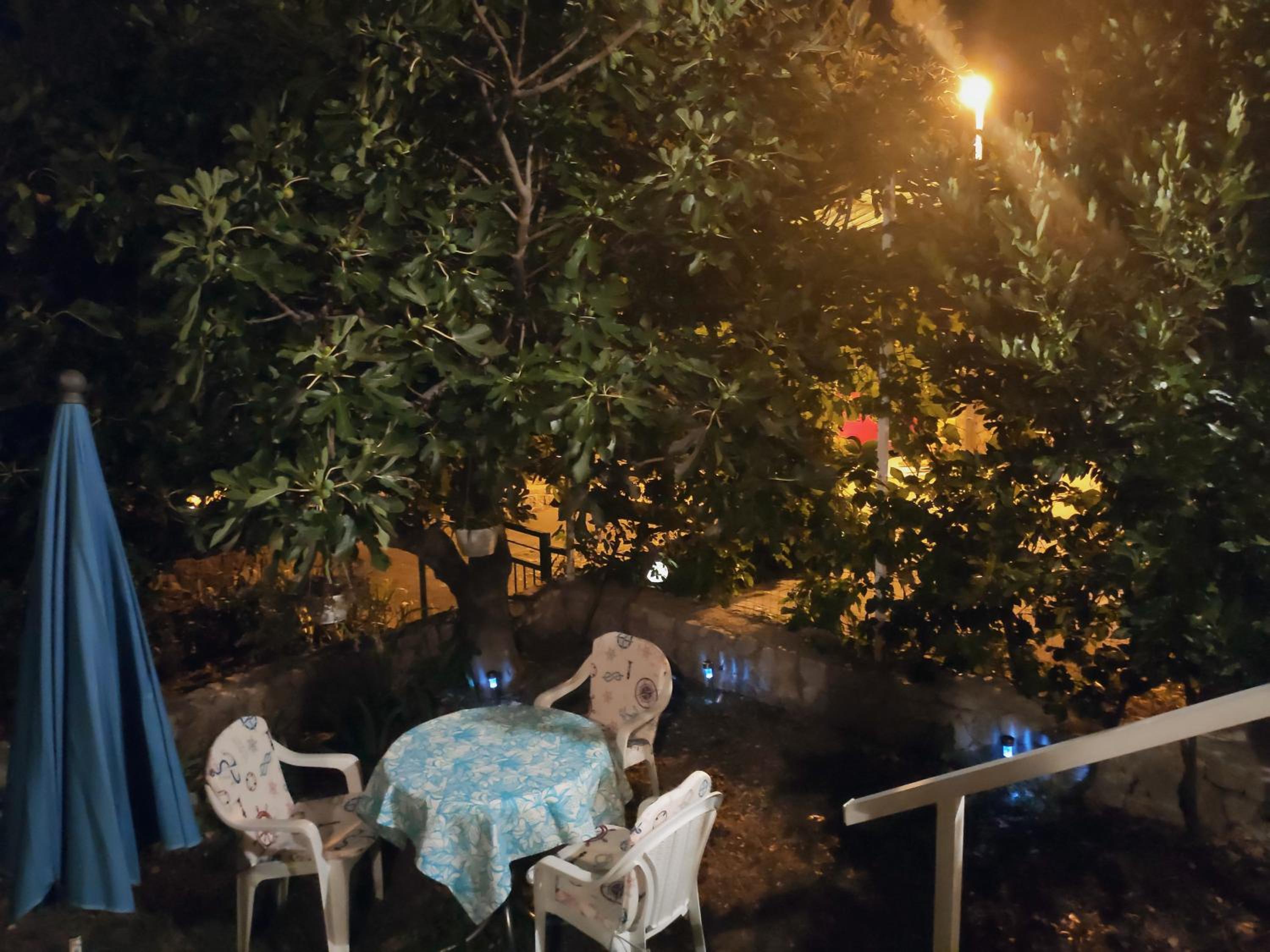 Siesta Apartments
